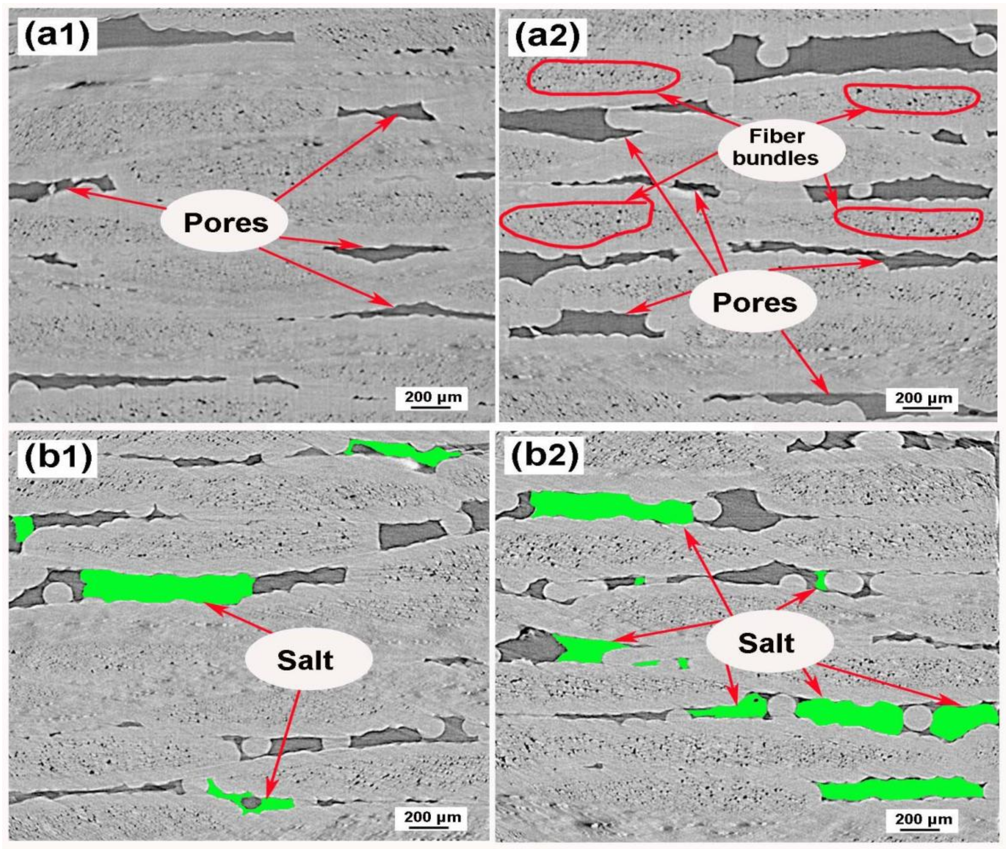 Materials 15 07182 g004 Materials 15 07182 g004