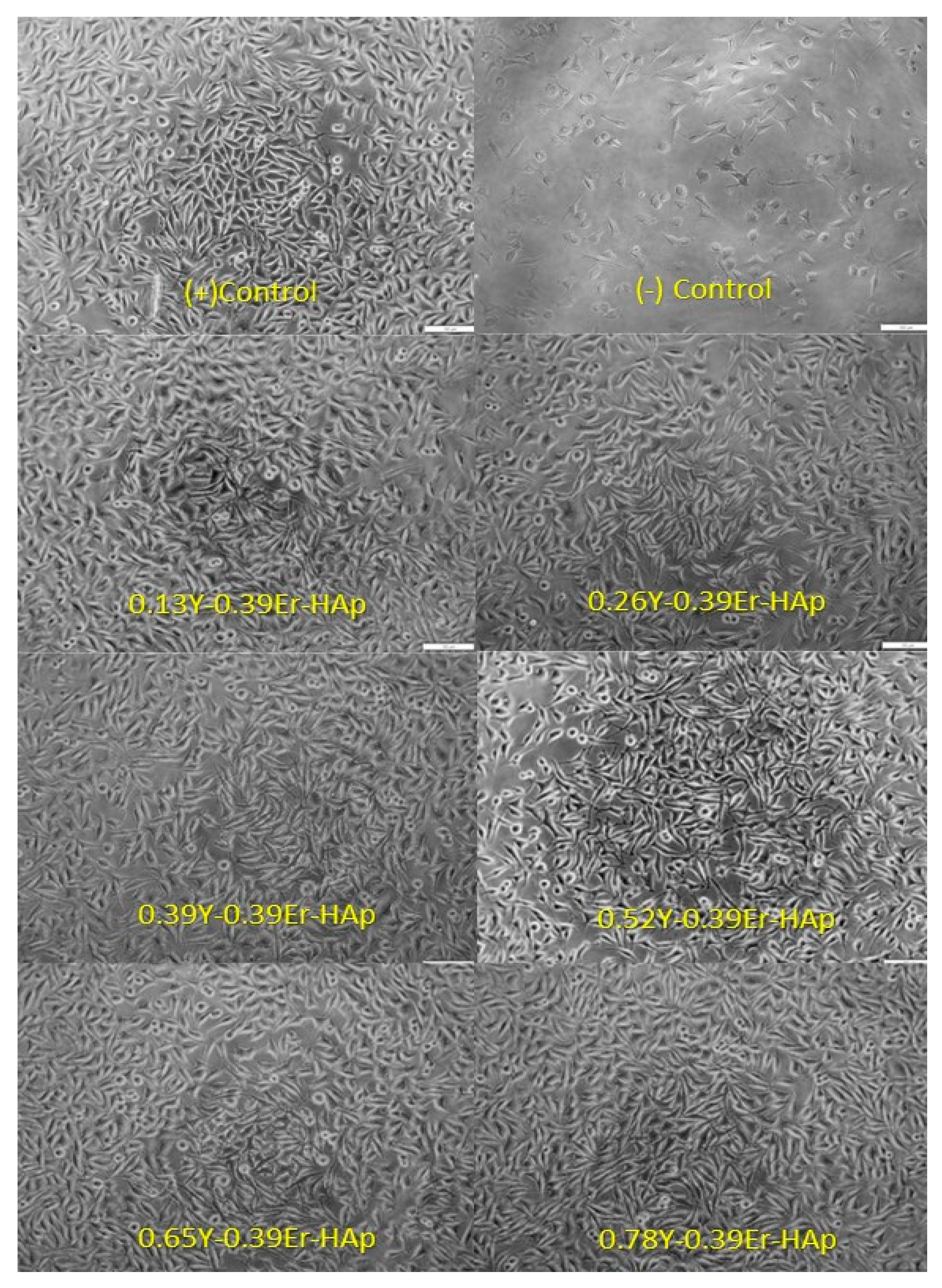 Materials 15 07211 g010 Materials 15 07211 g010