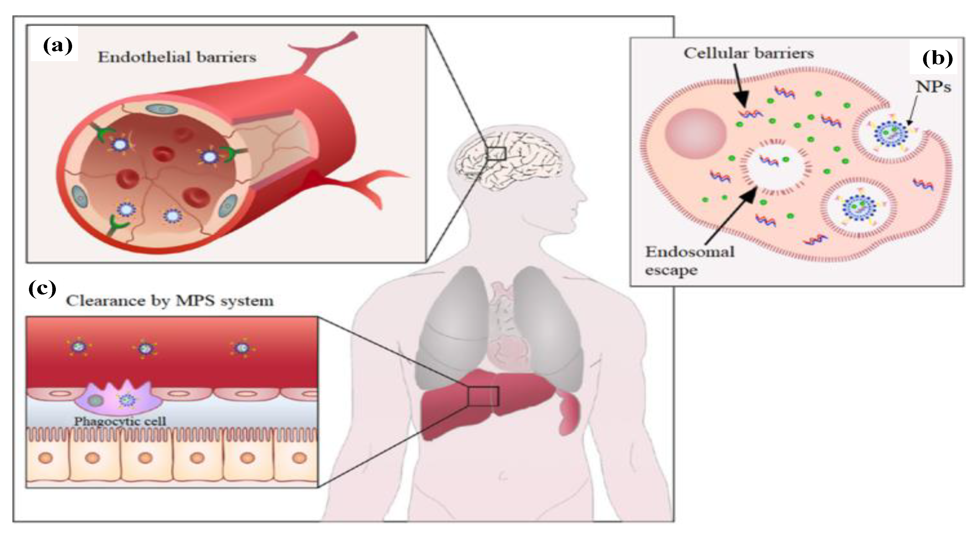 Materials 15 07215 g002 Materials 15 07215 g002