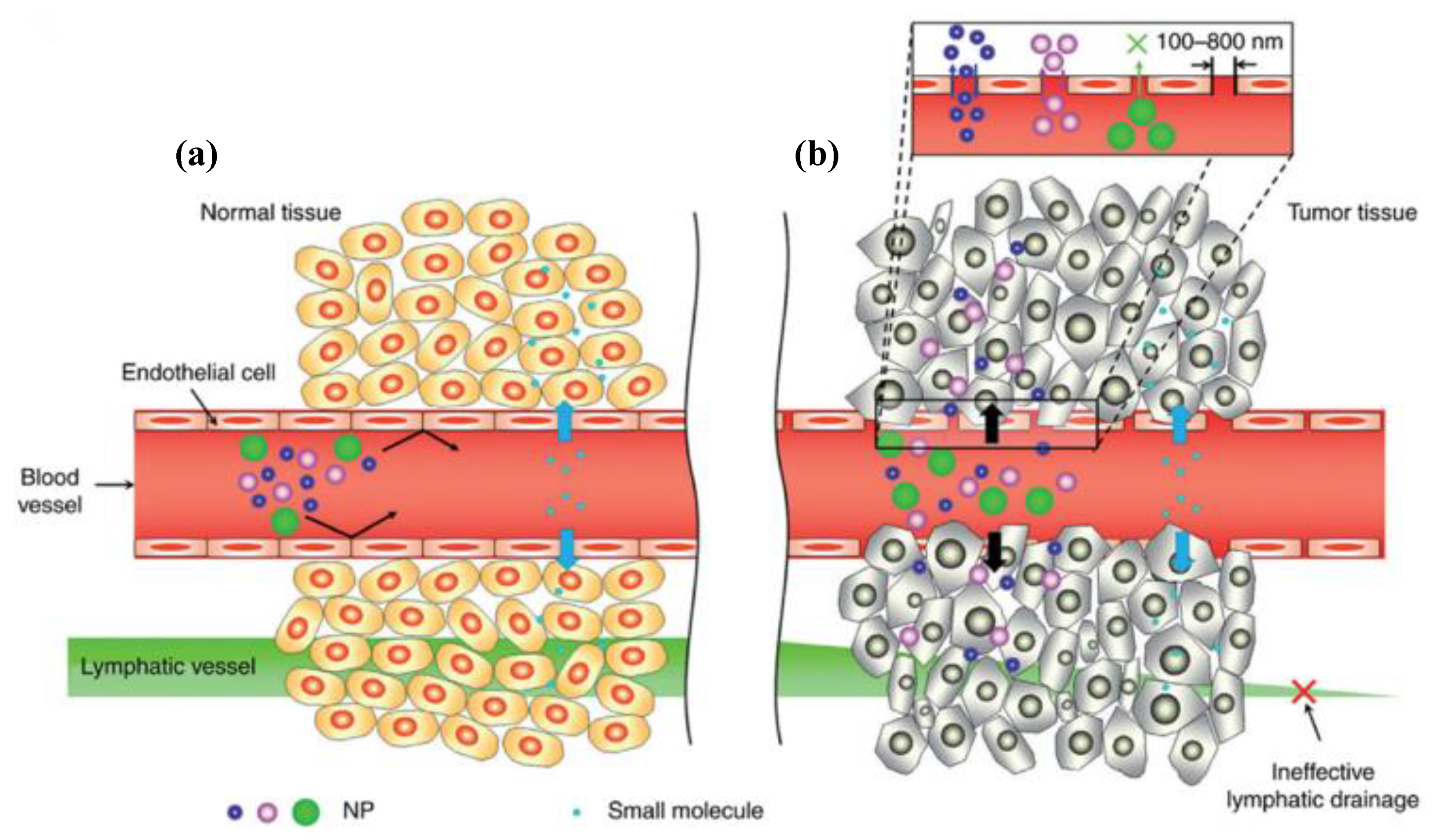 Materials 15 07215 g003 Materials 15 07215 g003
