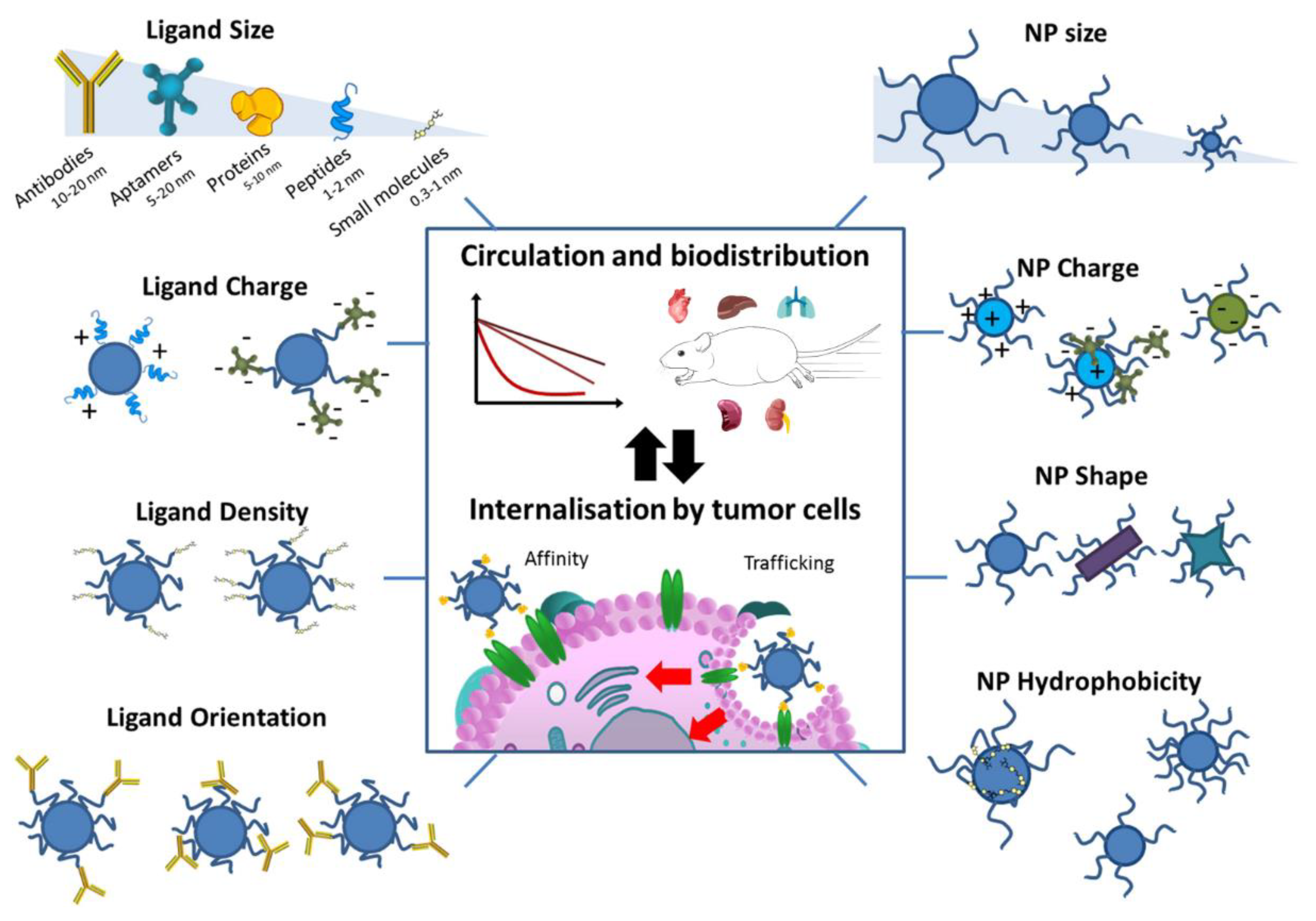 Materials 15 07215 g005 Materials 15 07215 g005