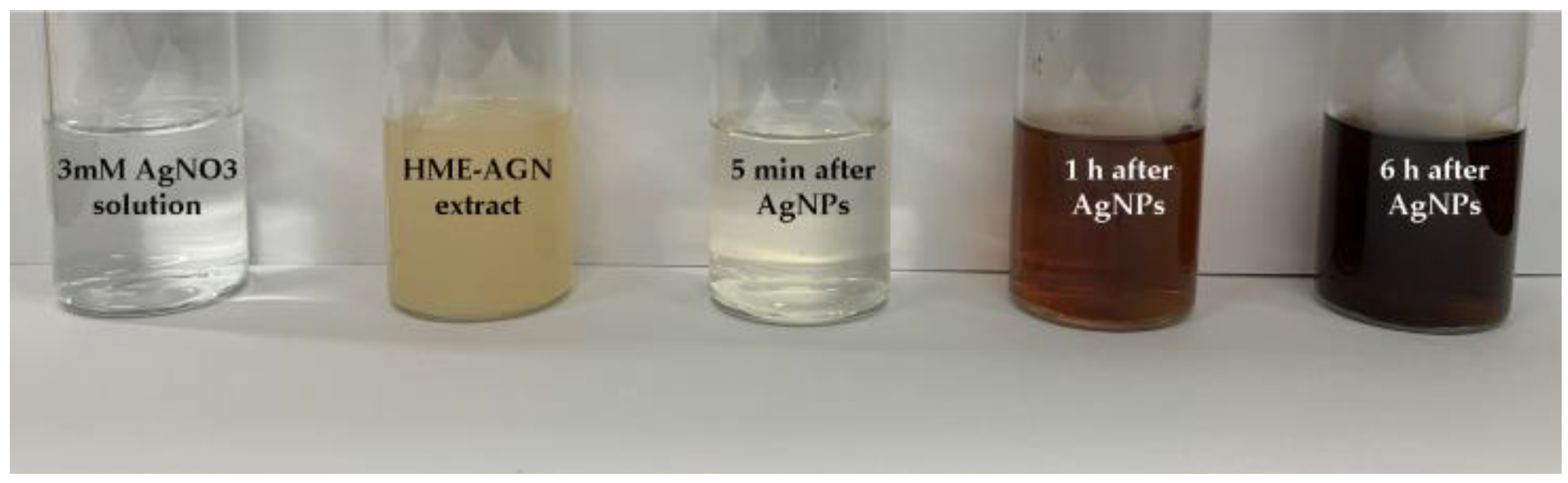 Materials 15 07231 g002 Materials 15 07231 g002