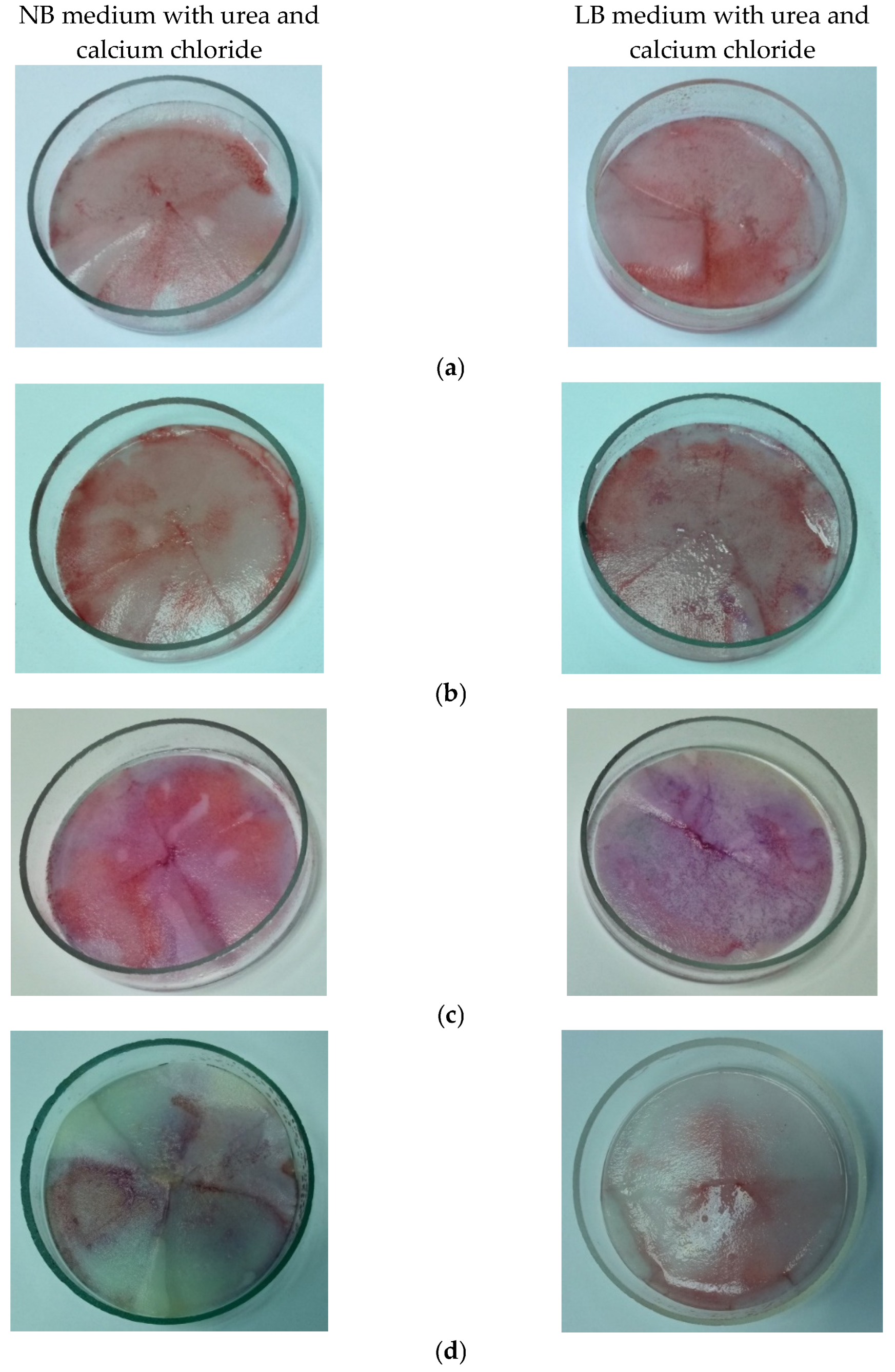 Materials 15 07259 g001 Materials 15 07259 g001
