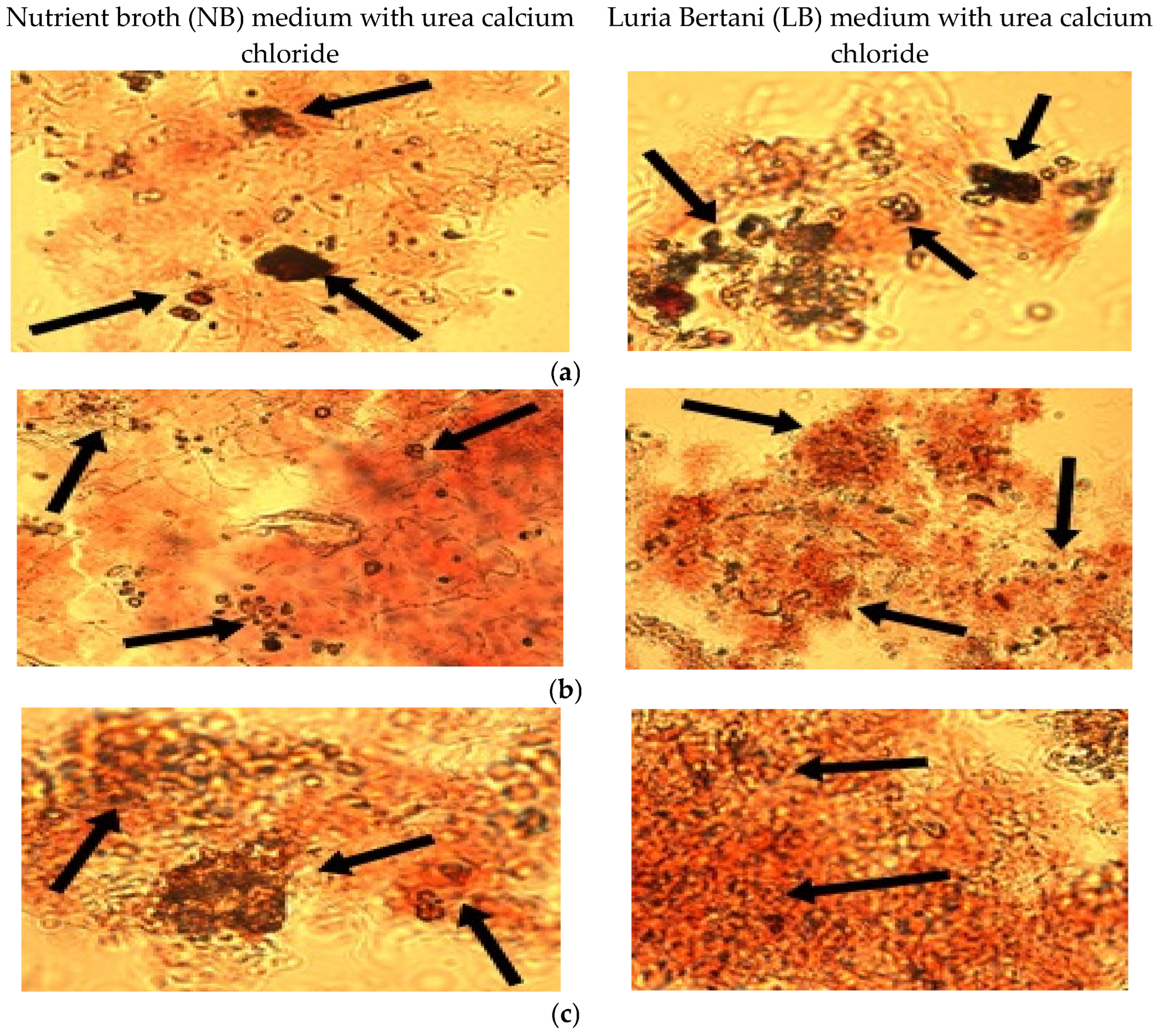 Materials 15 07259 g002 Materials 15 07259 g002