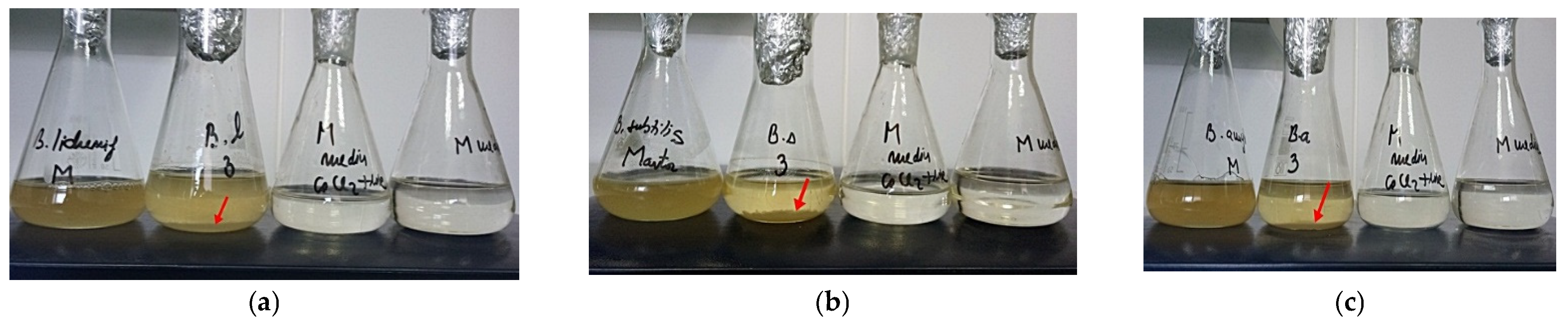 Materials 15 07259 g004 Materials 15 07259 g004