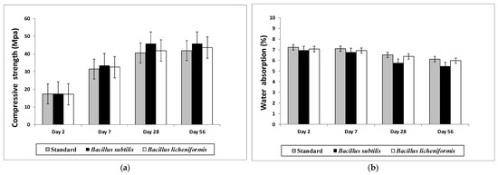 Highlighting Bacteria with Calcifying Abilities Suitable to Improve ...