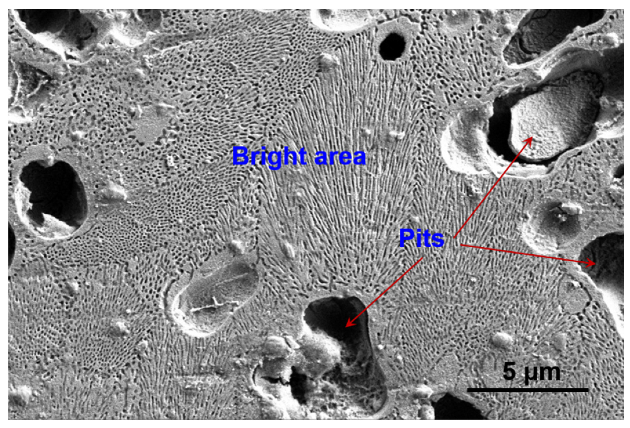 Materials 15 07272 g007