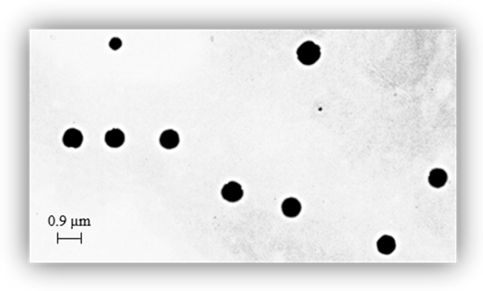 Materials 15 07293 g005 Materials 15 07293 g005