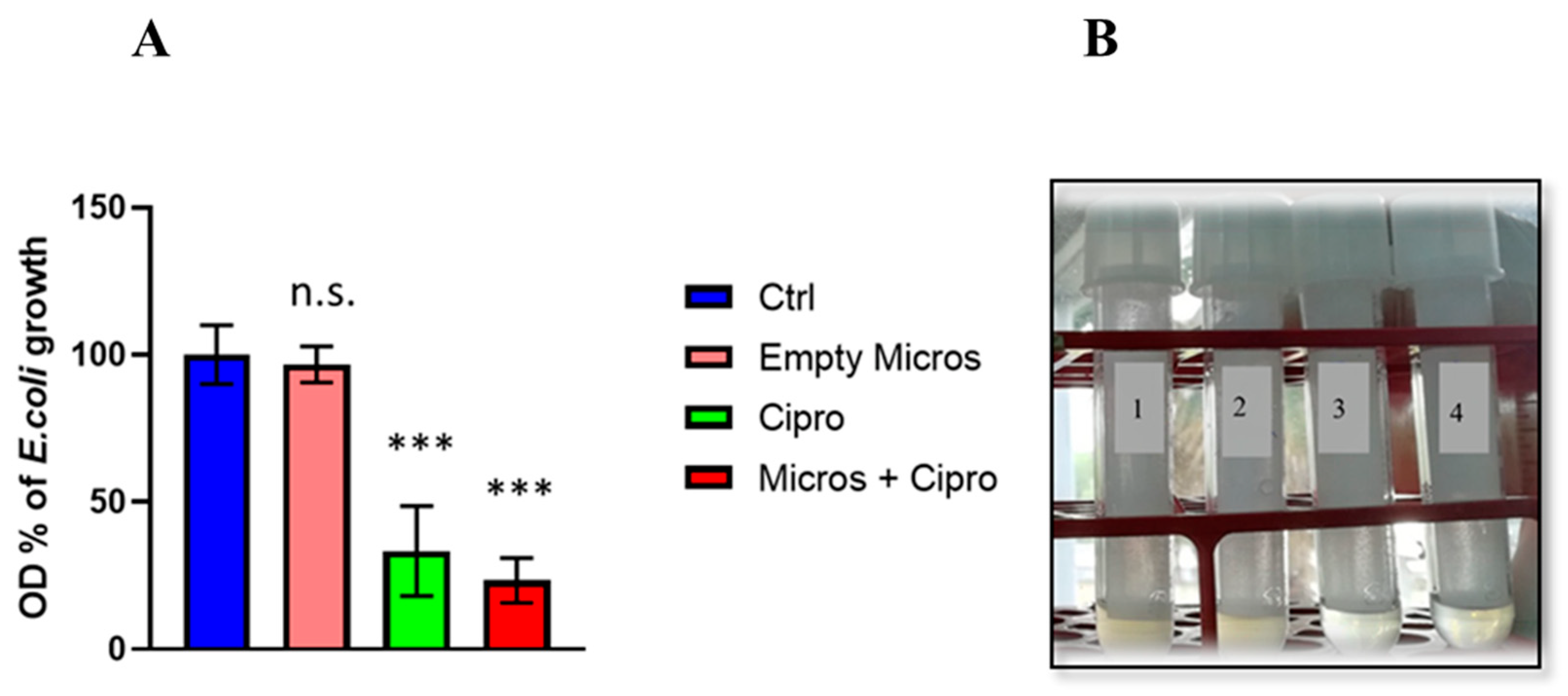Materials 15 07293 g008 Materials 15 07293 g008
