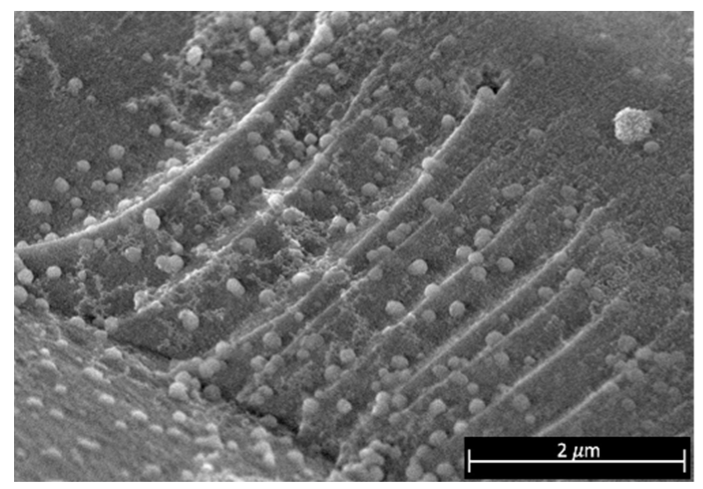 Materials 15 07307 g005 Materials 15 07307 g005