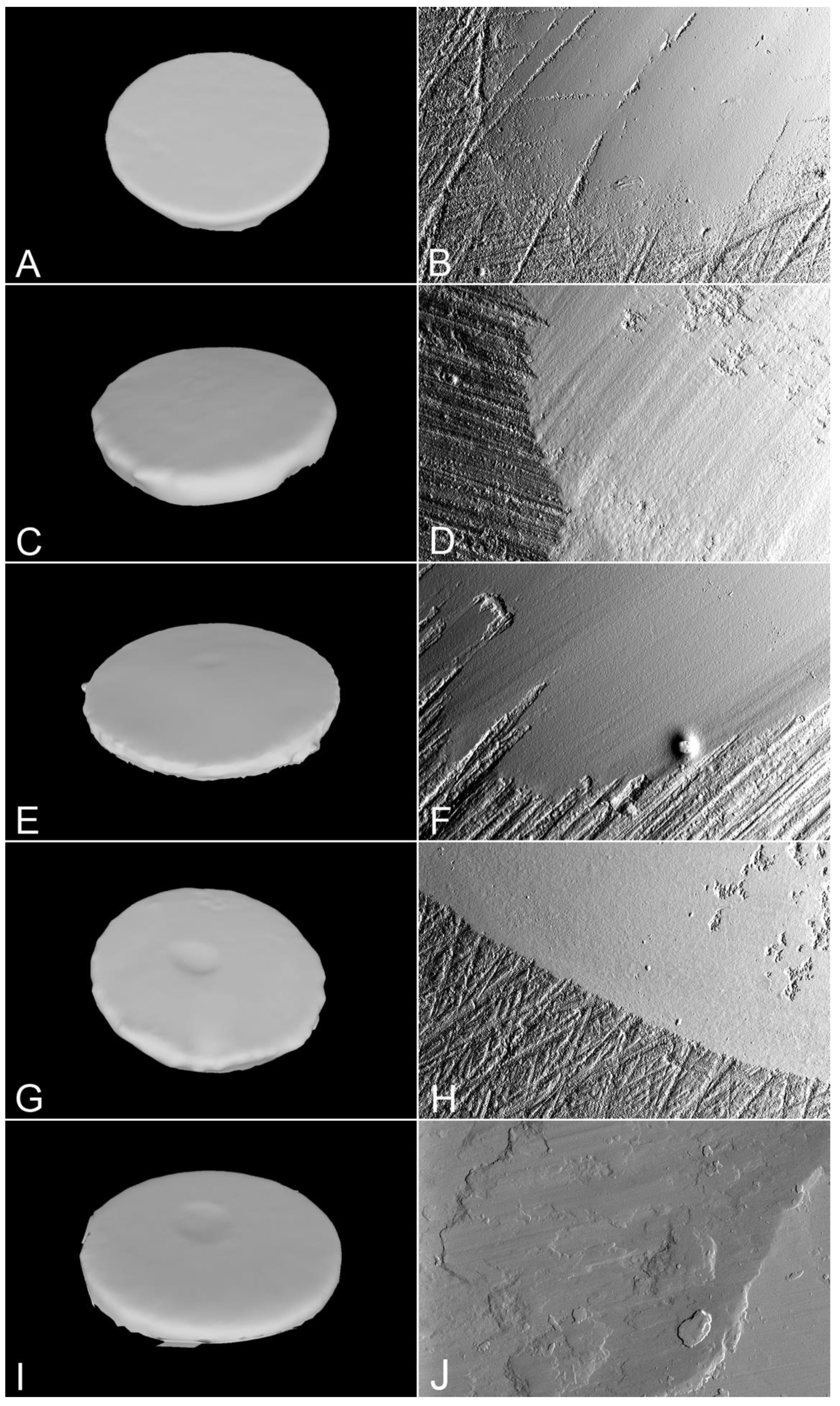 Materials 15 07324 g002 Materials 15 07324 g002