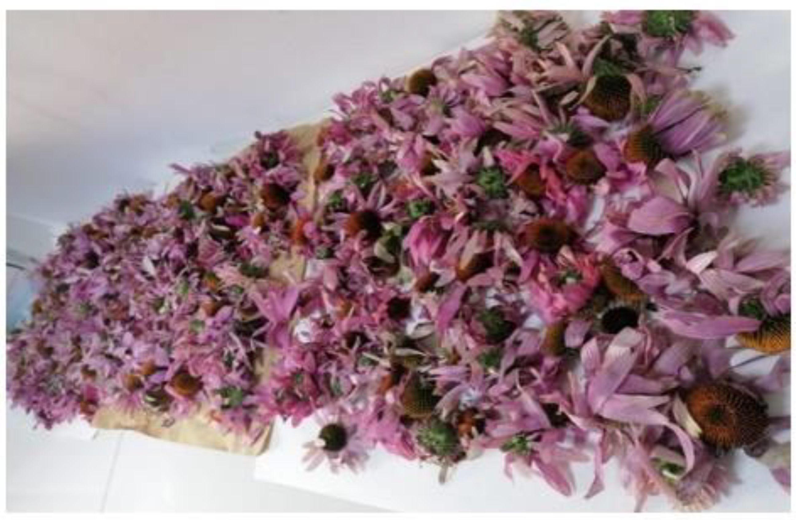 Materials 15 07327 g001 Materials 15 07327 g001