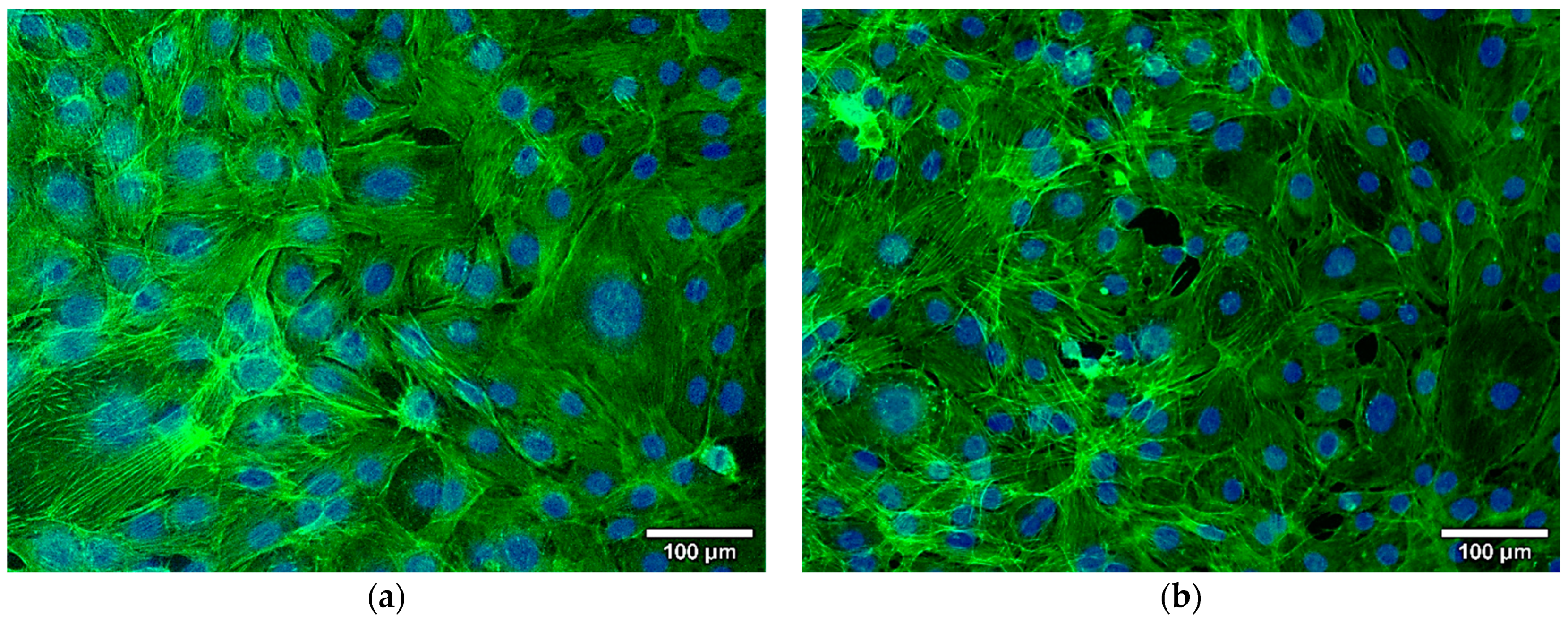 Materials 15 07337 g006 Materials 15 07337 g006