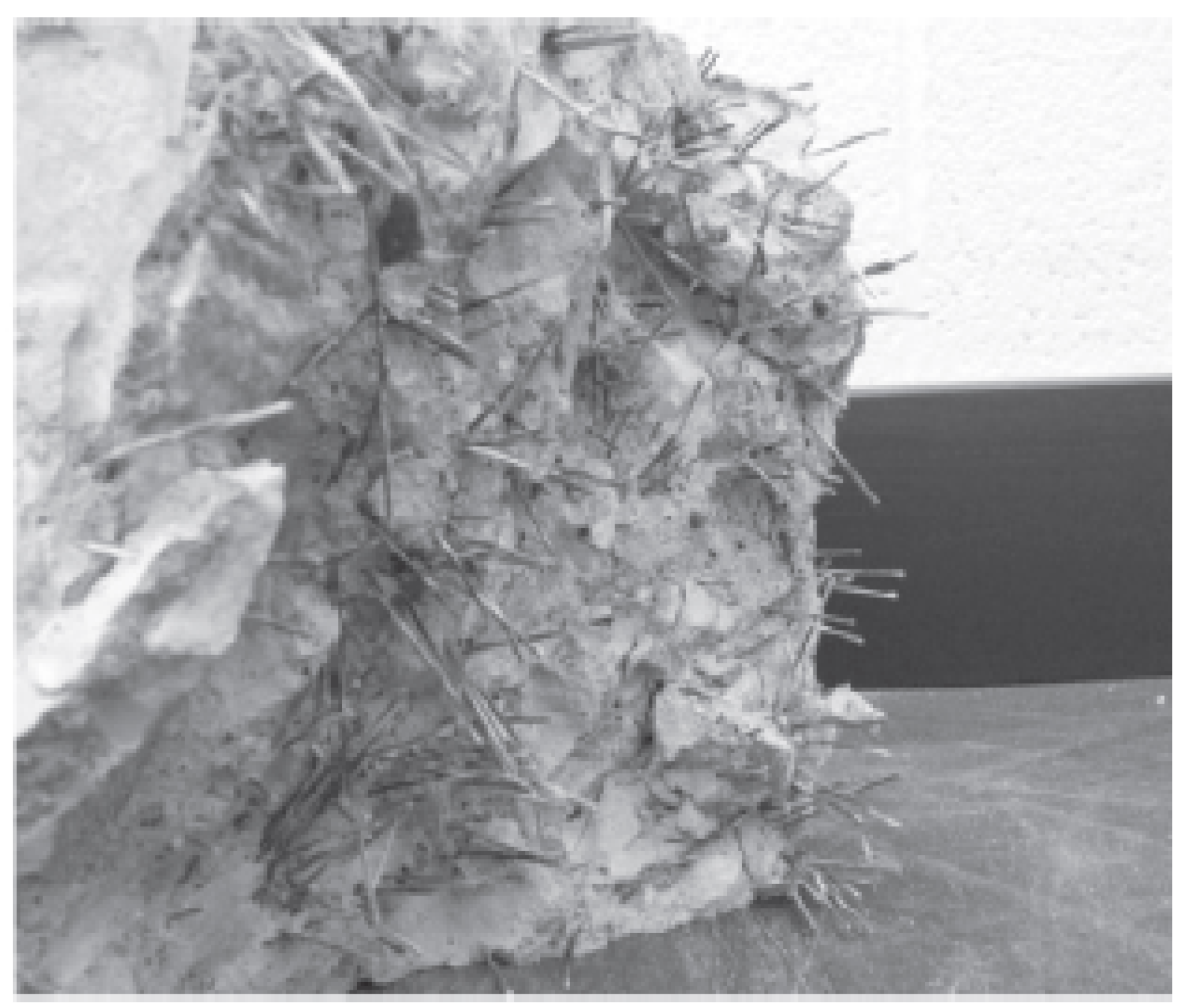 Materials 15 07350 g012 Materials 15 07350 g012