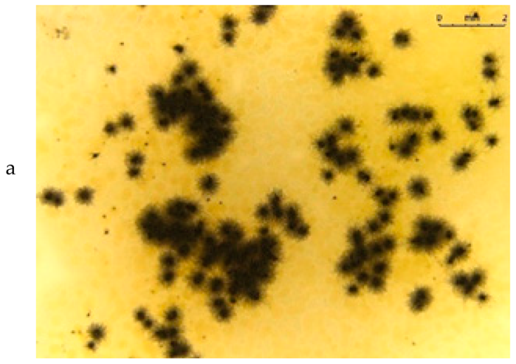 Materials 15 07382 i001 Materials 15 07382 i001