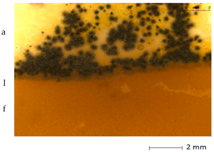 Materials 15 07382 i003 Materials 15 07382 i003