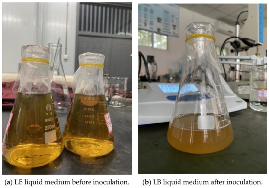 Experimental Study on the Influence of Different Factors on the 