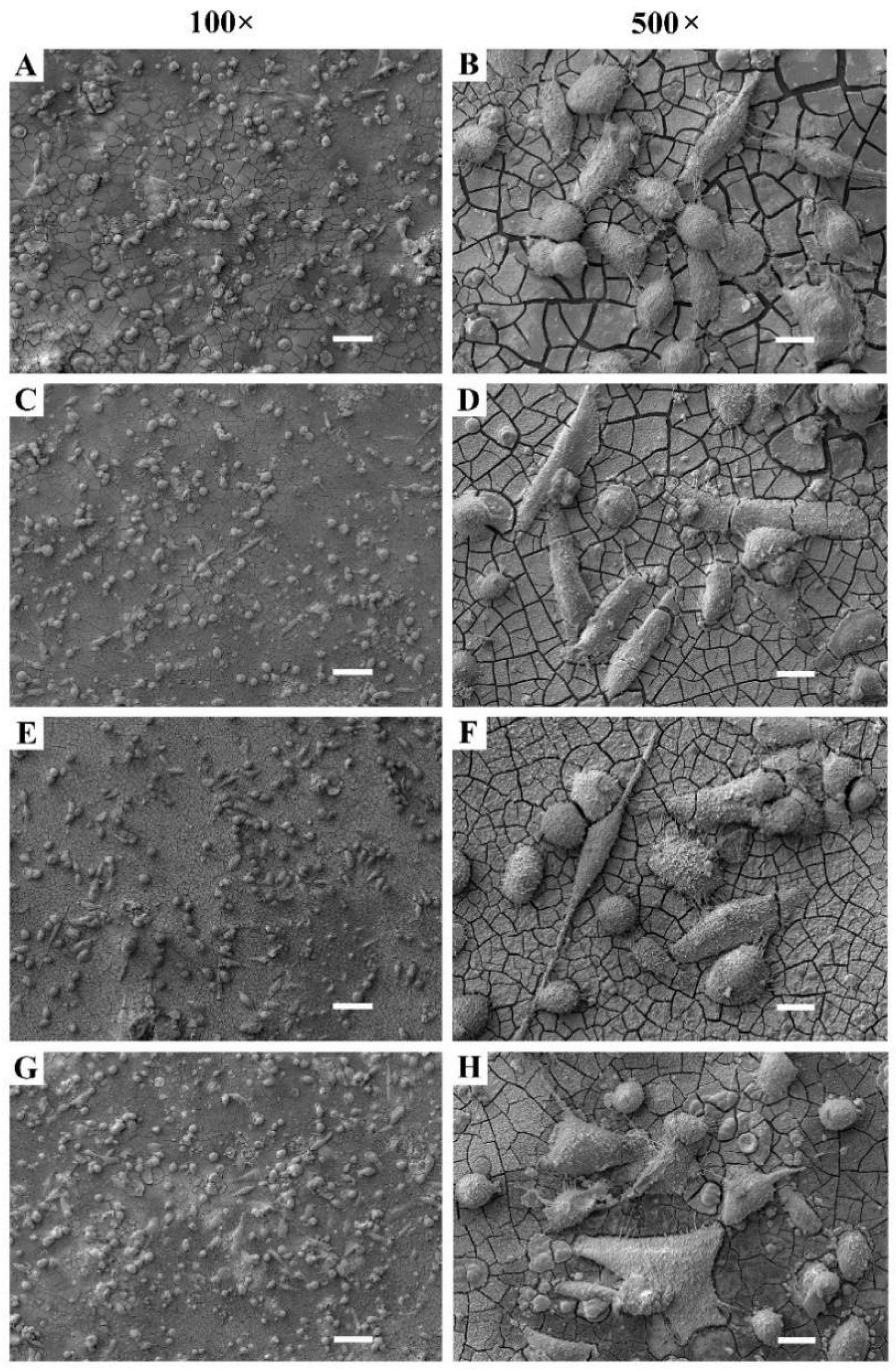 Materials 15 07405 g008