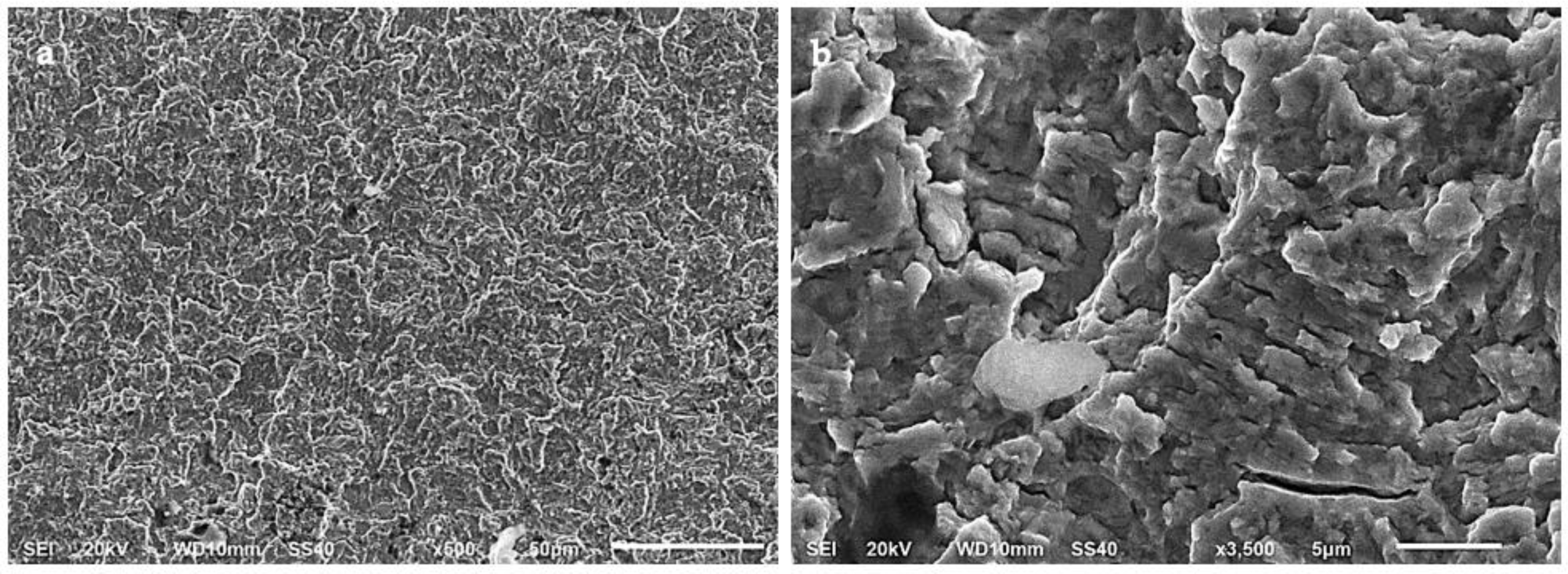 Materials 15 07411 g015 Materials 15 07411 g015