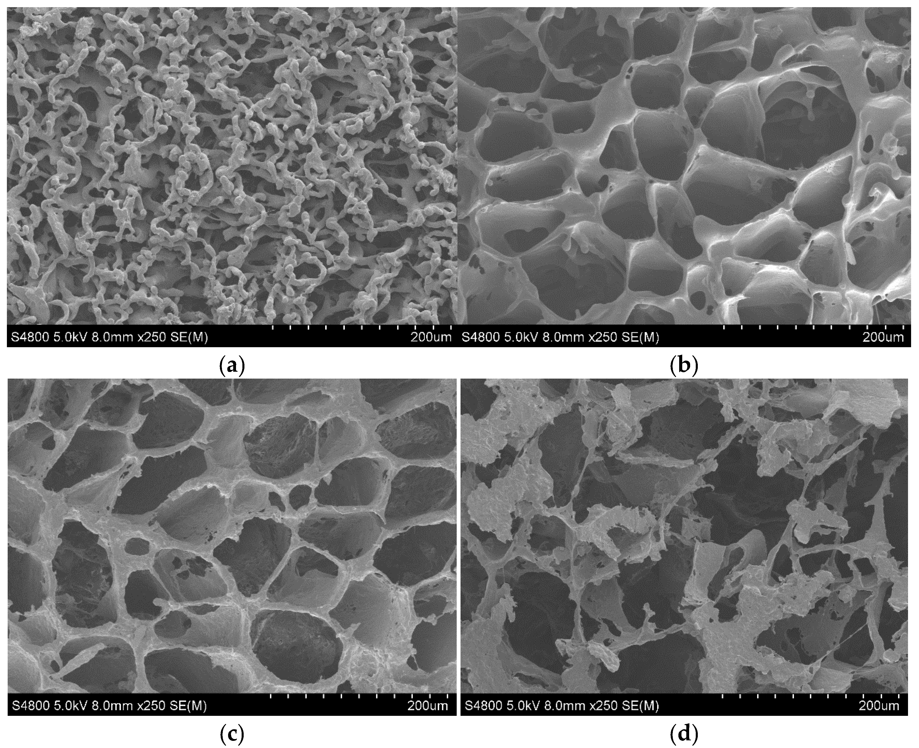 Materials 15 07436 g002 Materials 15 07436 g002