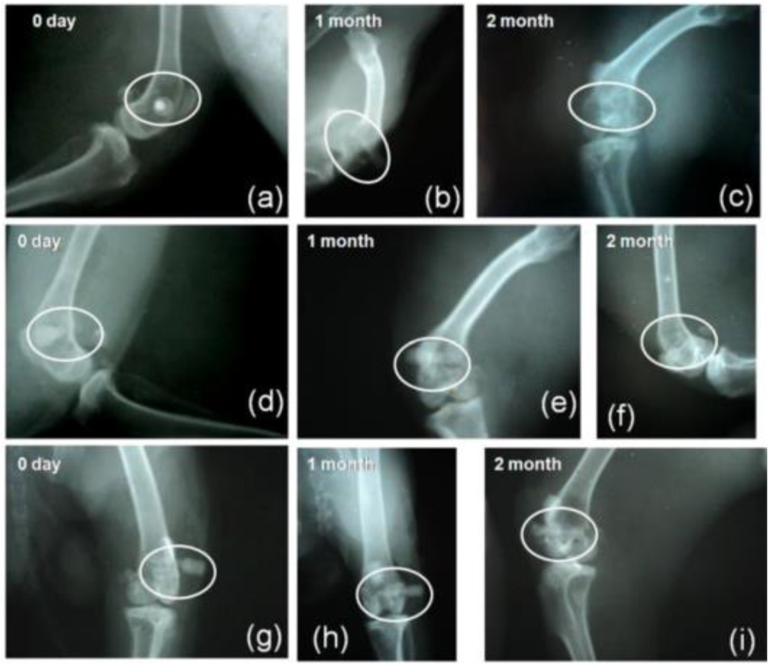 Materials 15 07477 g010