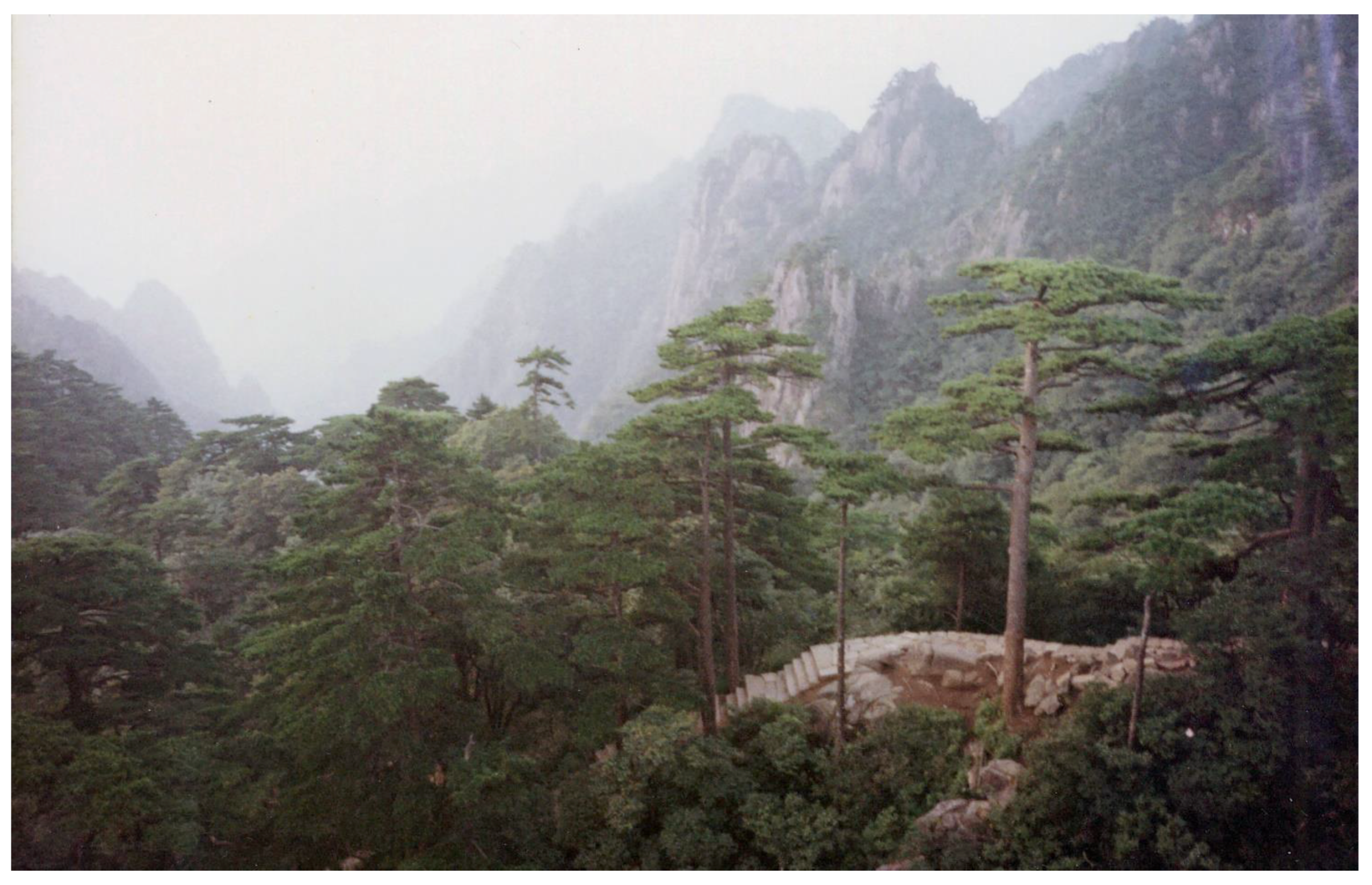 Materials 15 07481 g020 Materials 15 07481 g020