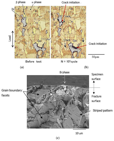 Study on the Fatigue Crack Initiation and Growth Behavior in Bismuth ...