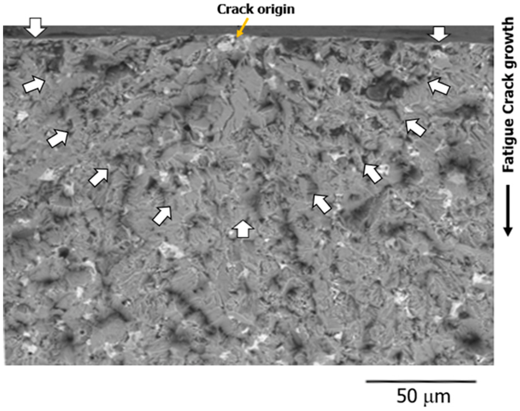 Materials 15 07488 g009 Materials 15 07488 g009