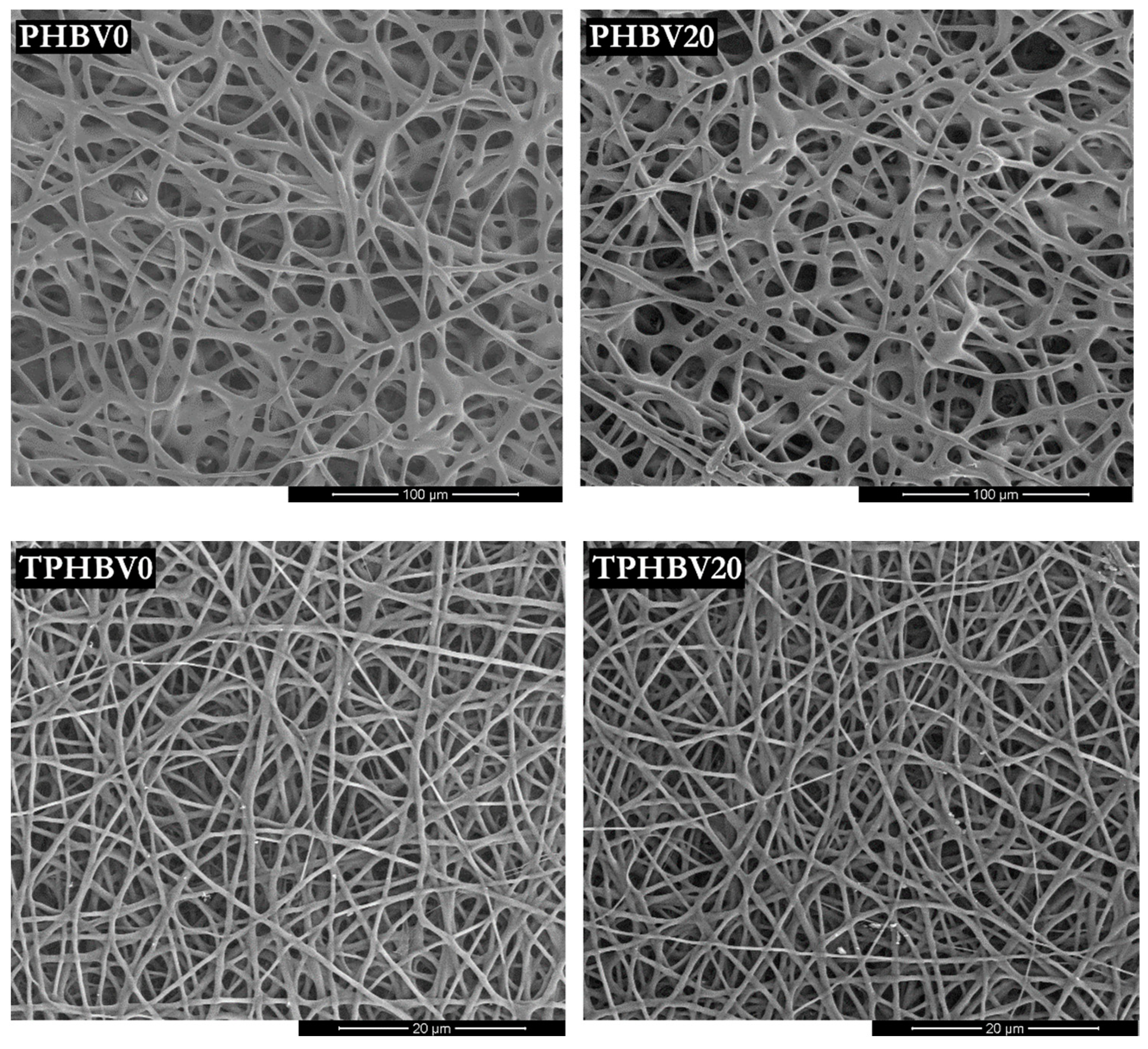 Materials 15 07494 g003