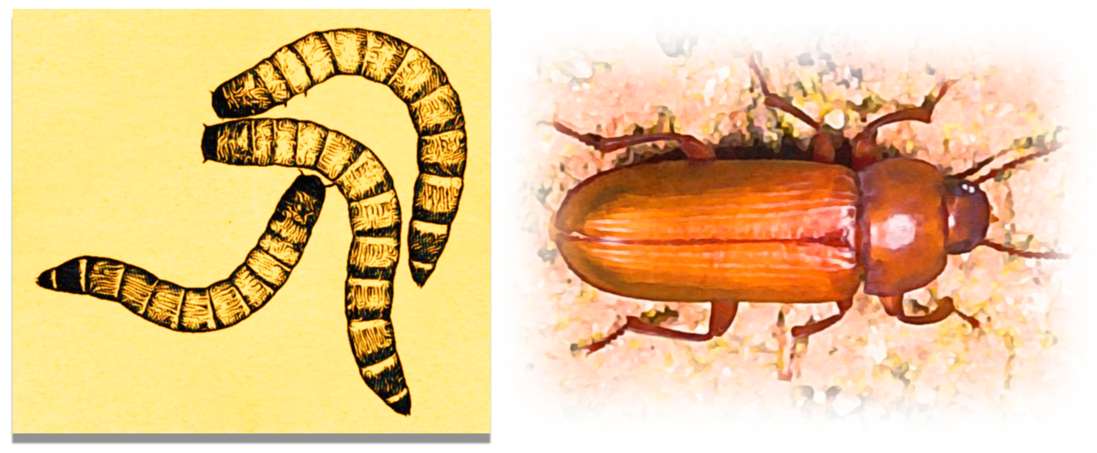 Materials 15 07516 g002