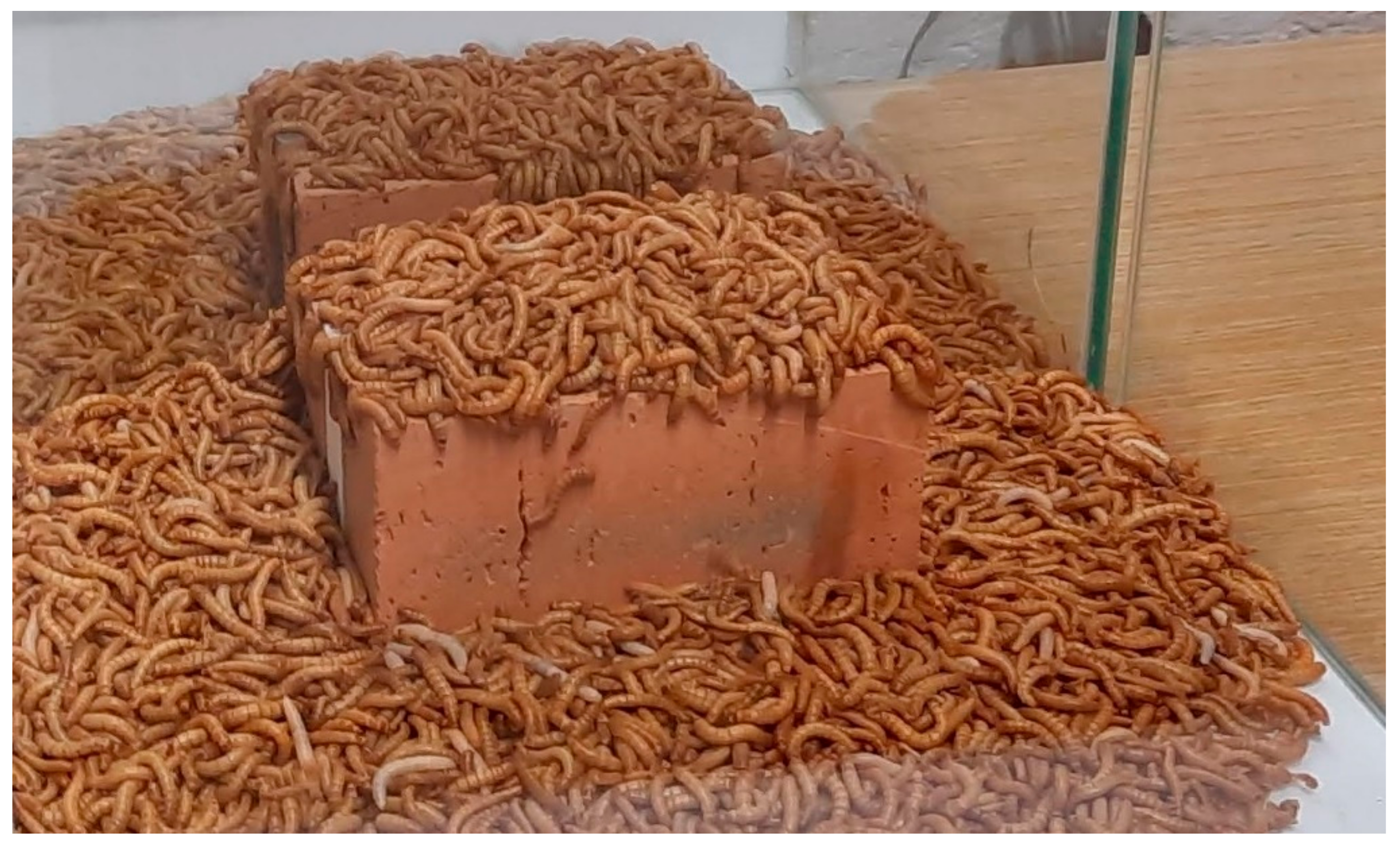 Materials 15 07516 g004