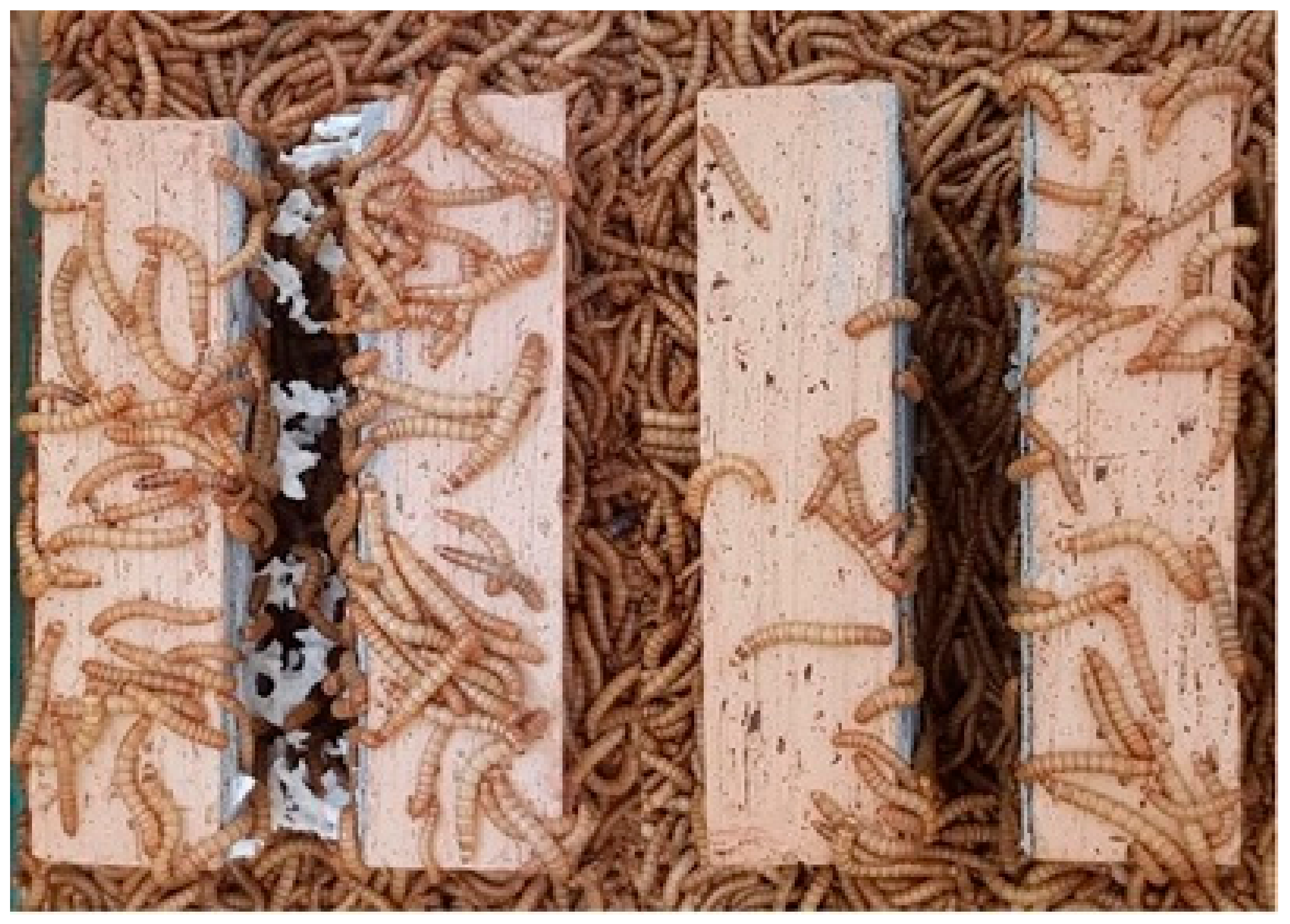 Materials 15 07516 g005