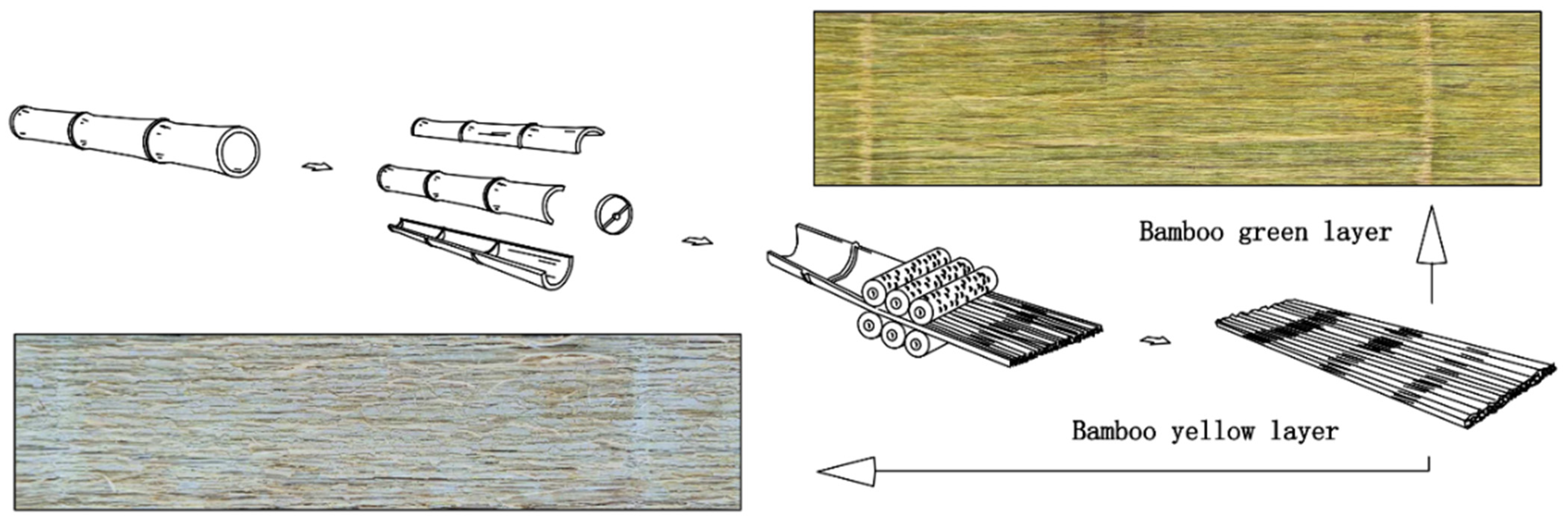 Bamboo Lumber : Green Bamboo Timber : Custom Dimensions