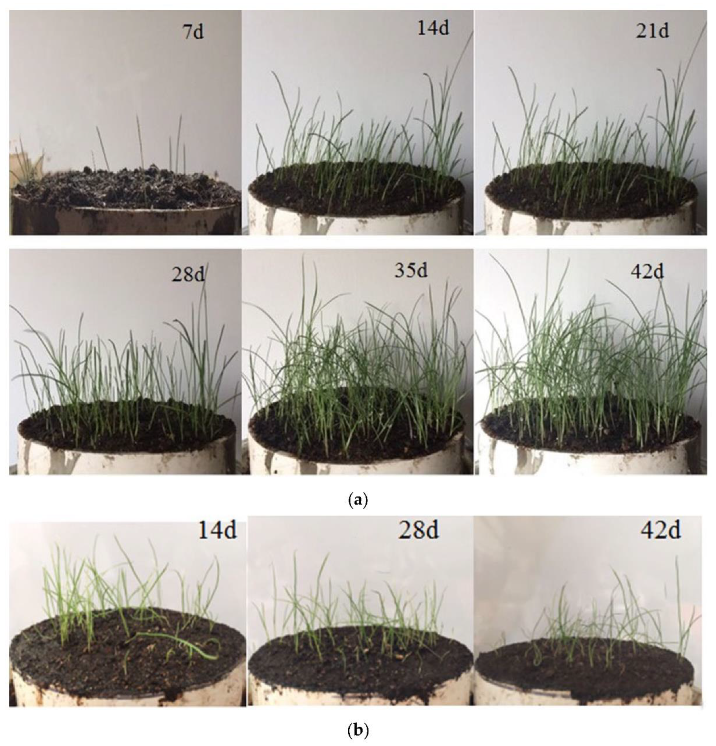 Materials 15 07521 g010