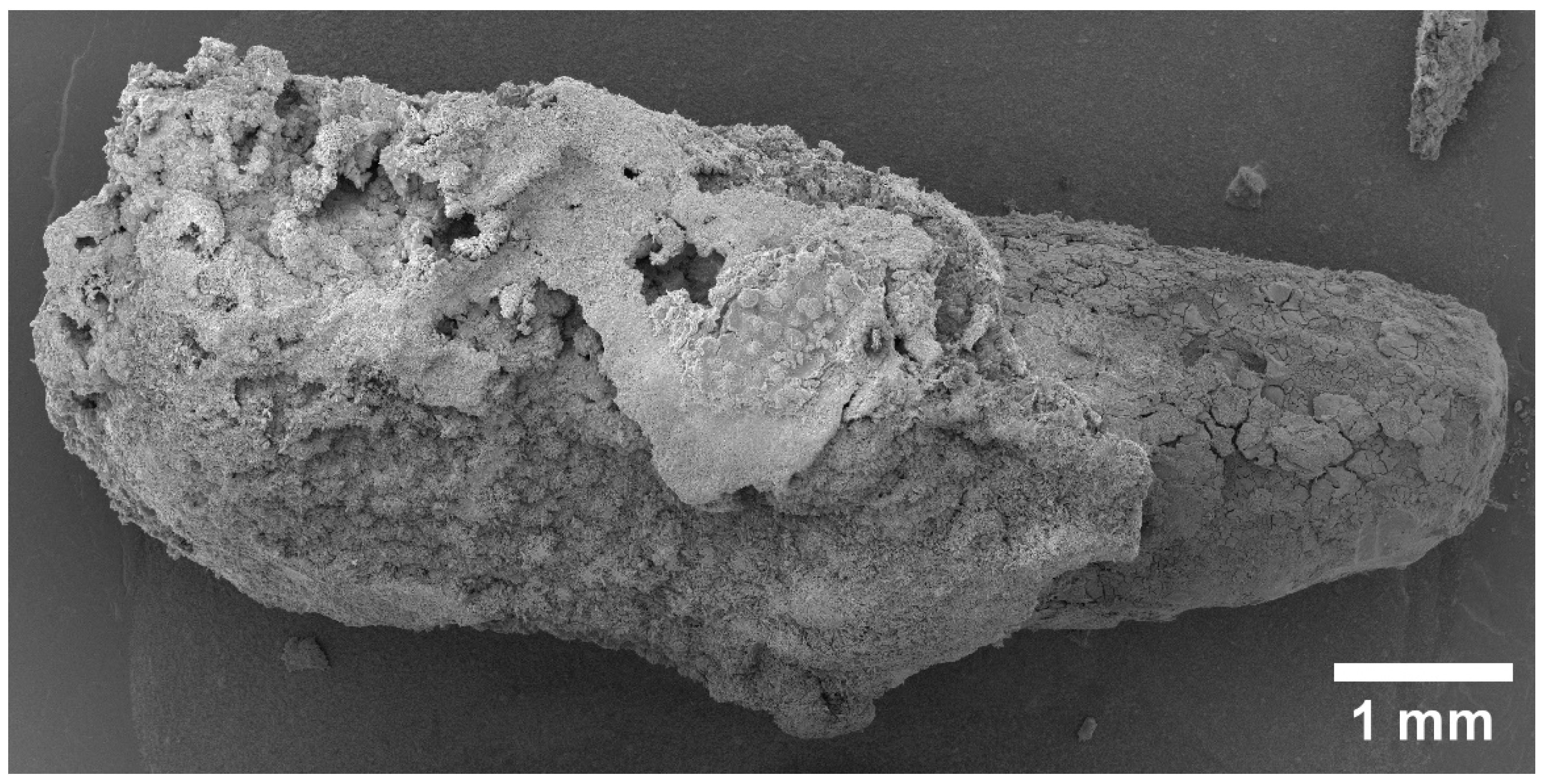 Materials 15 07529 g001 Materials 15 07529 g001