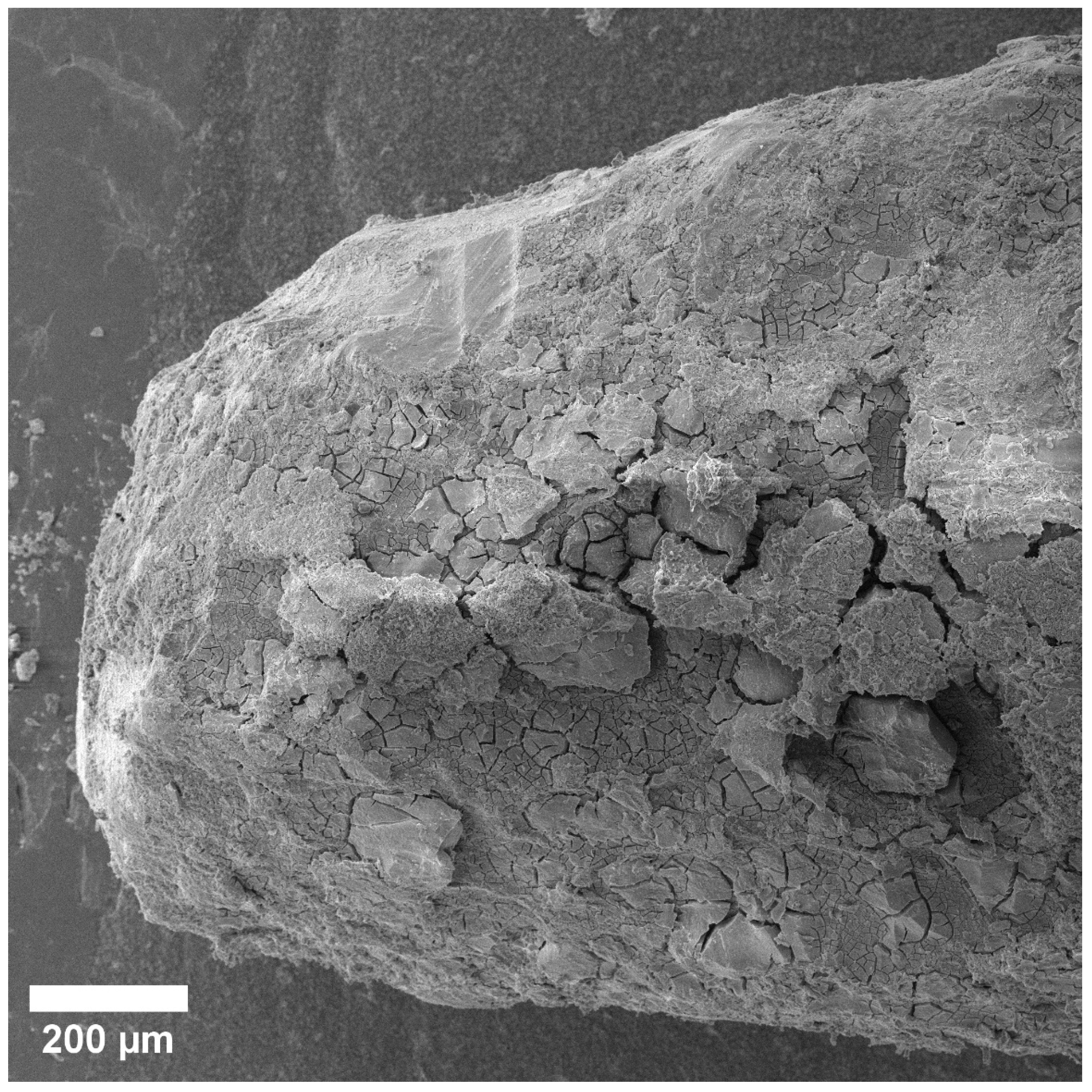 Materials 15 07529 g002 Materials 15 07529 g002