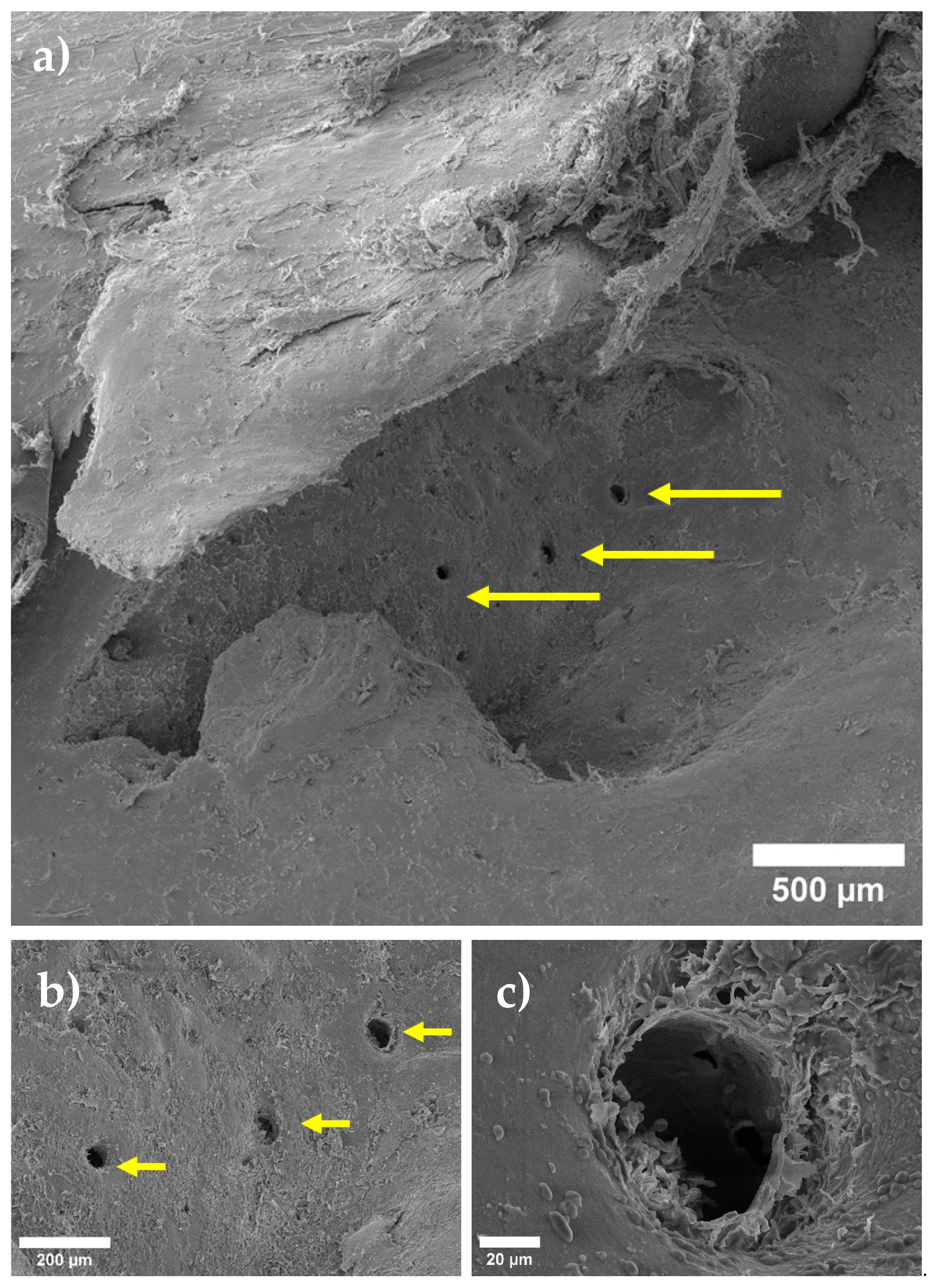 Materials 15 07529 g003 Materials 15 07529 g003