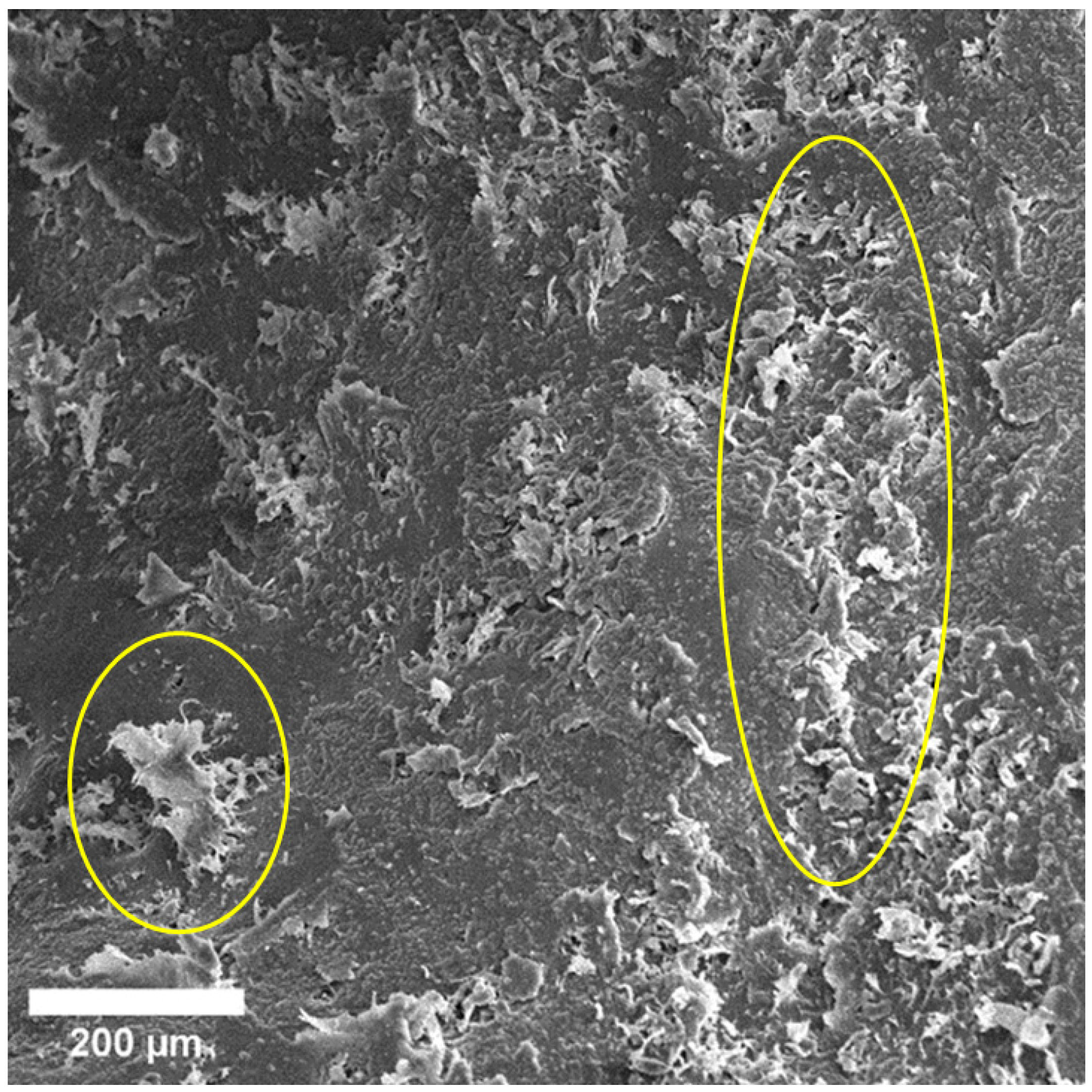 Materials 15 07529 g004 Materials 15 07529 g004