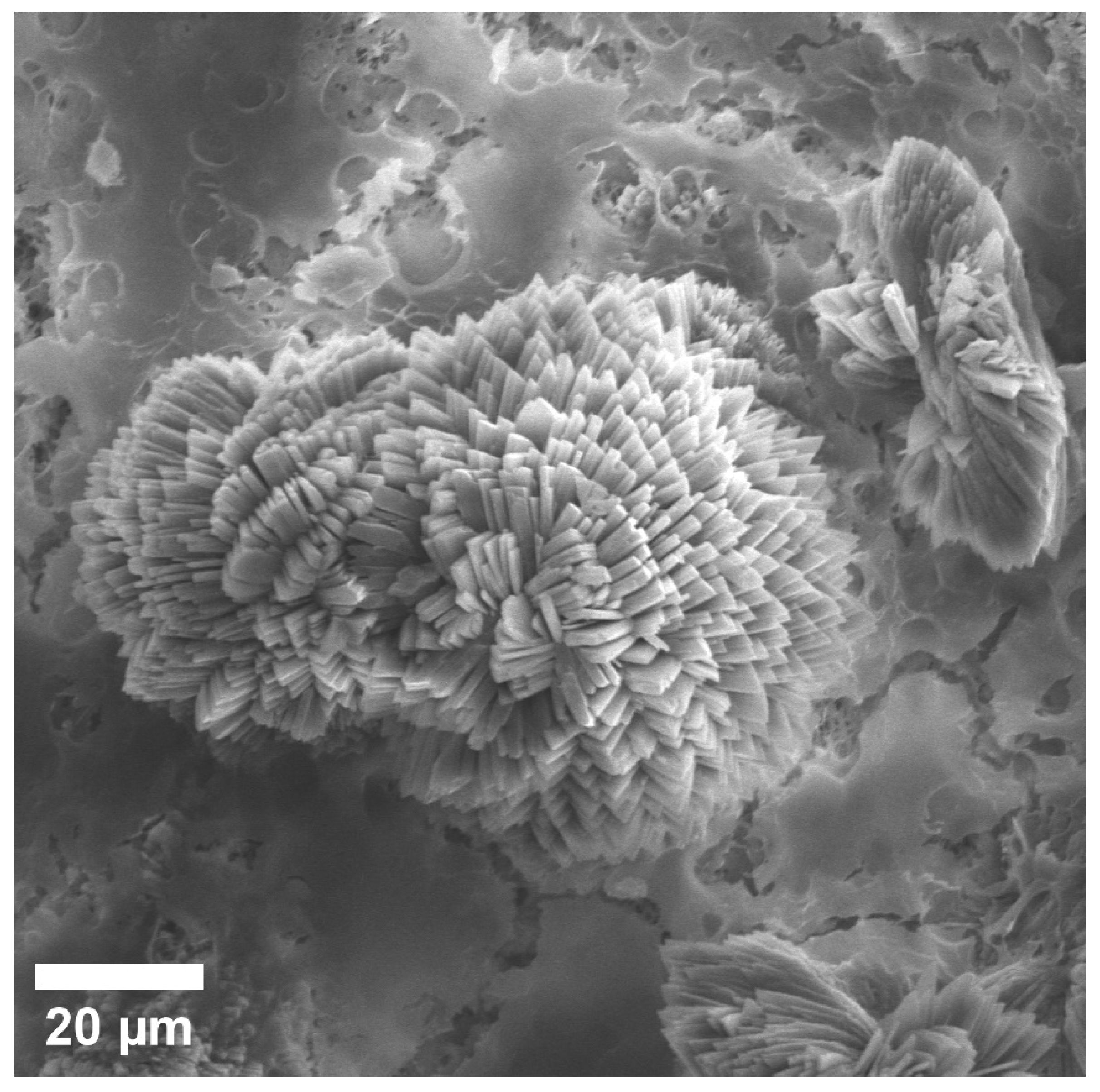 Materials 15 07529 g009 Materials 15 07529 g009