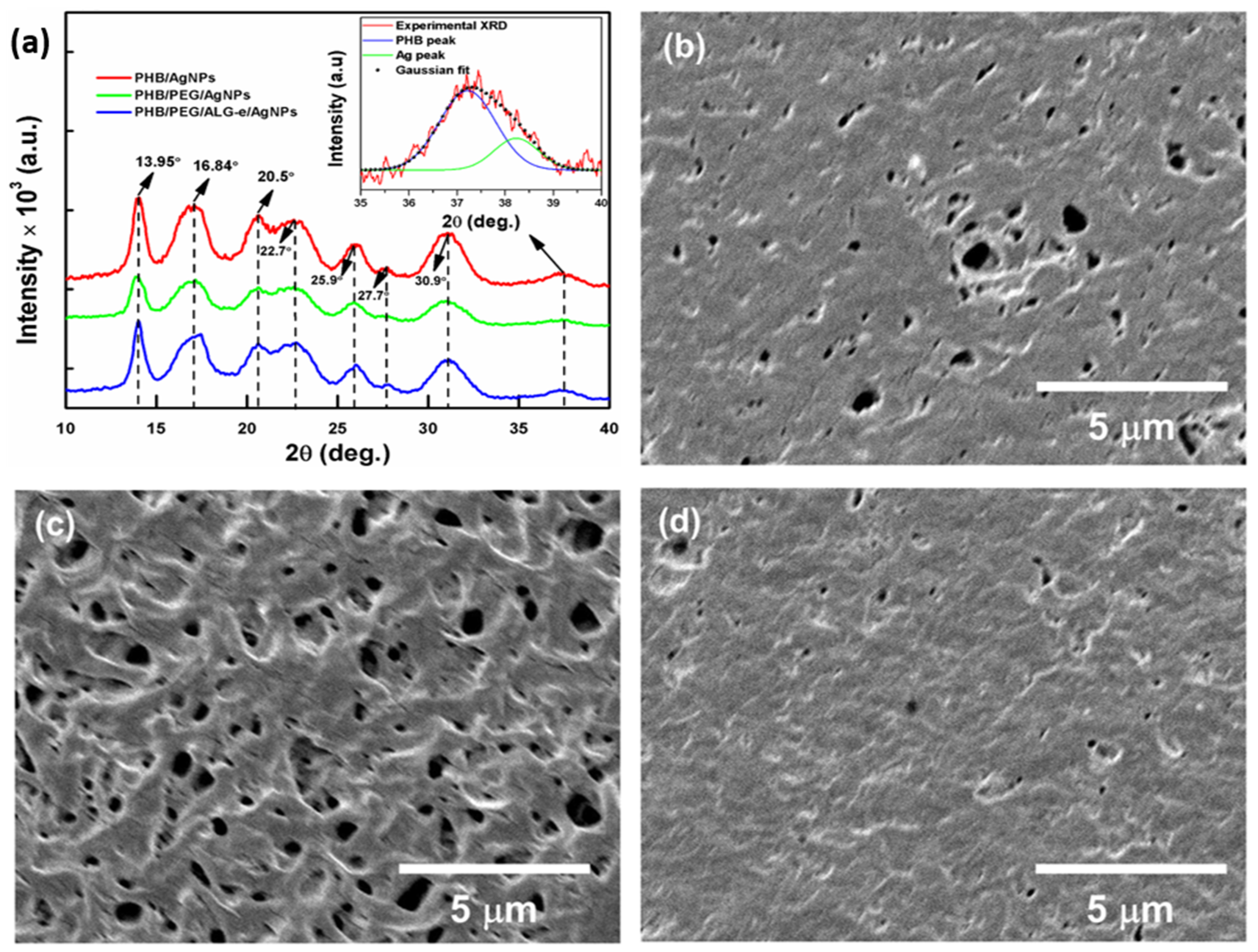Materials 15 07544 g004