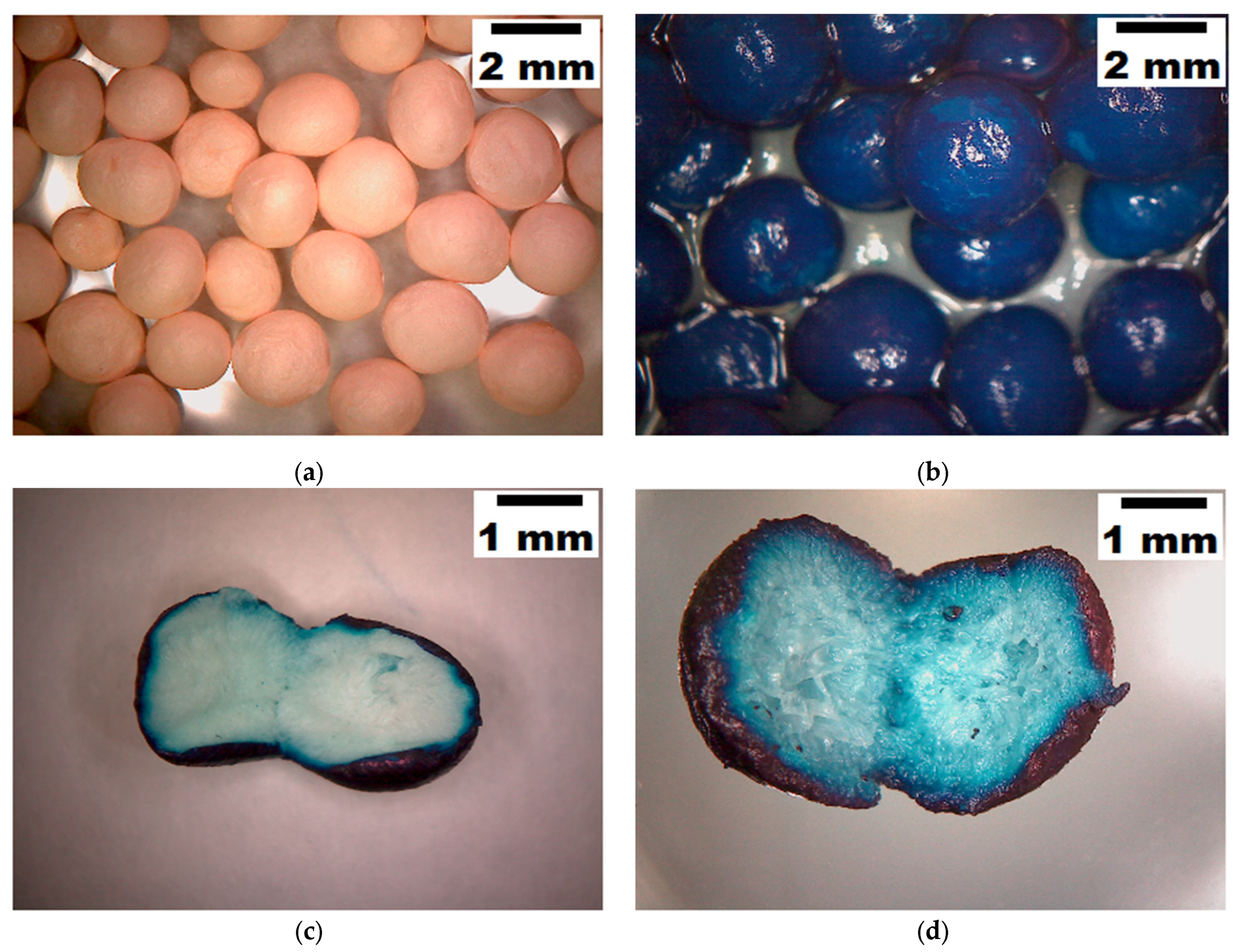 Materials 15 07558 g006 Materials 15 07558 g006