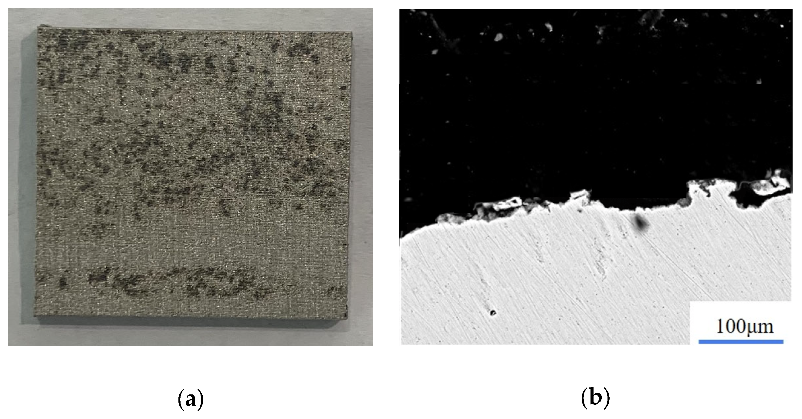 Materials 15 07559 g012 Materials 15 07559 g012