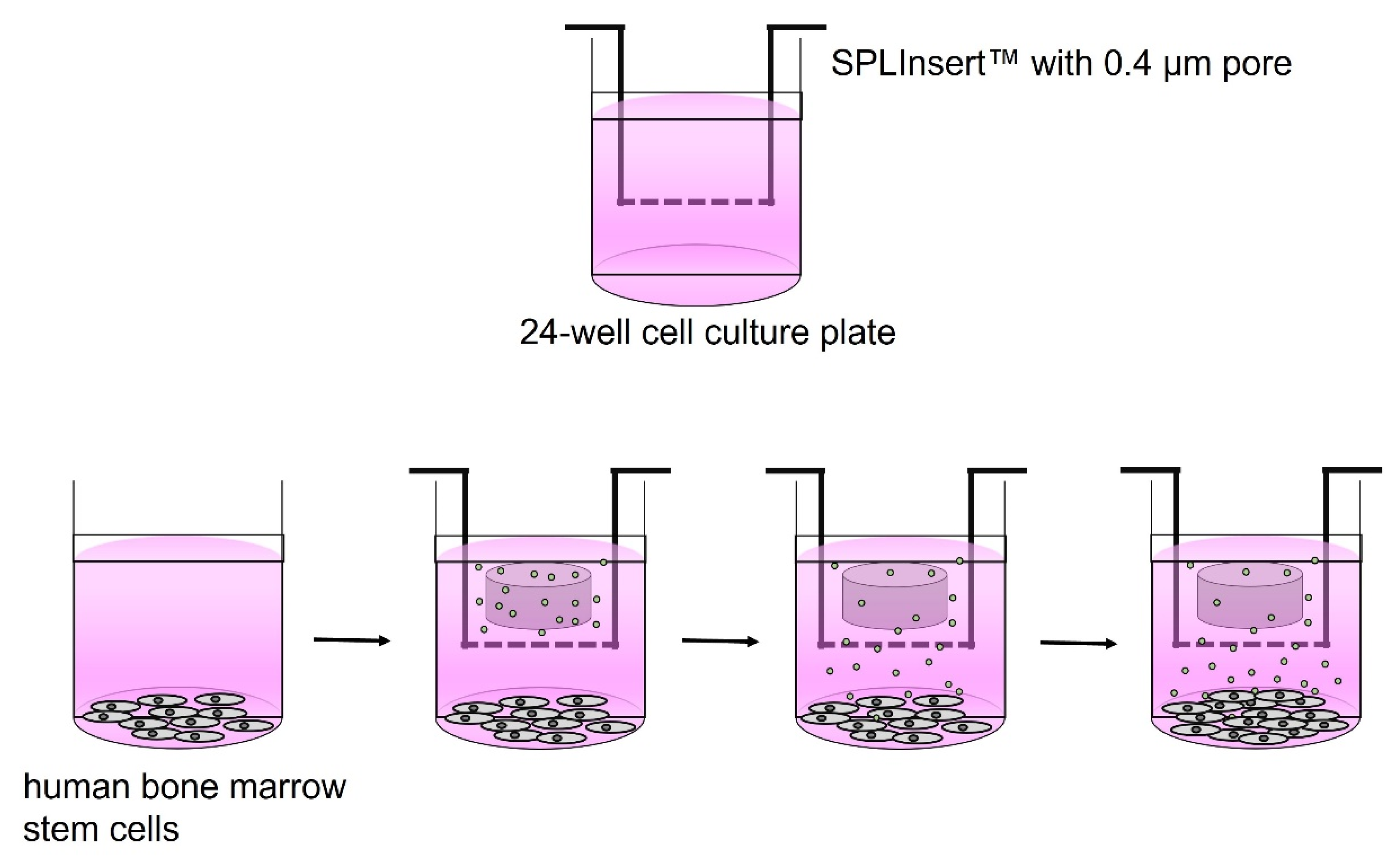 Materials 15 07595 g001 Materials 15 07595 g001