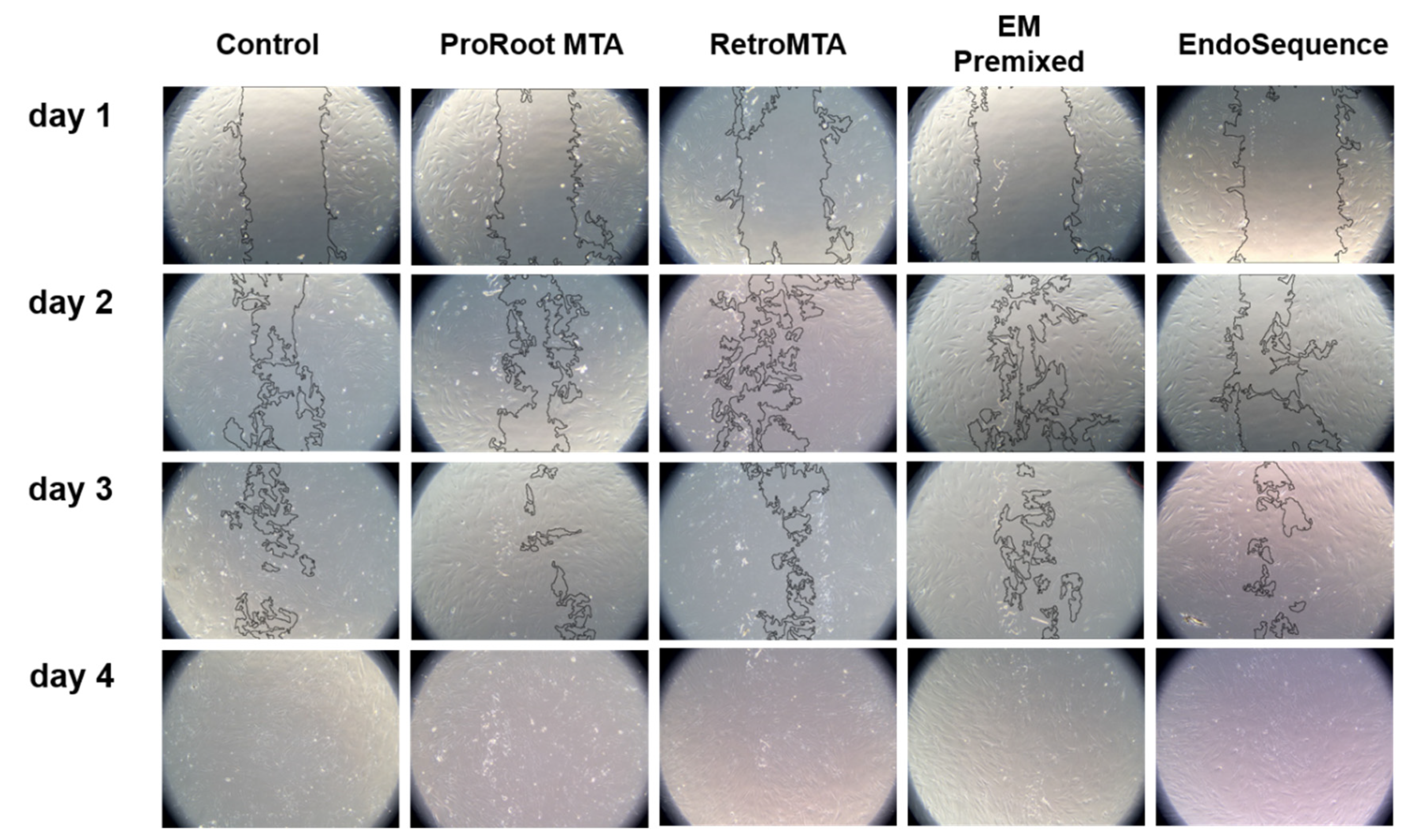 Materials 15 07595 g004 Materials 15 07595 g004