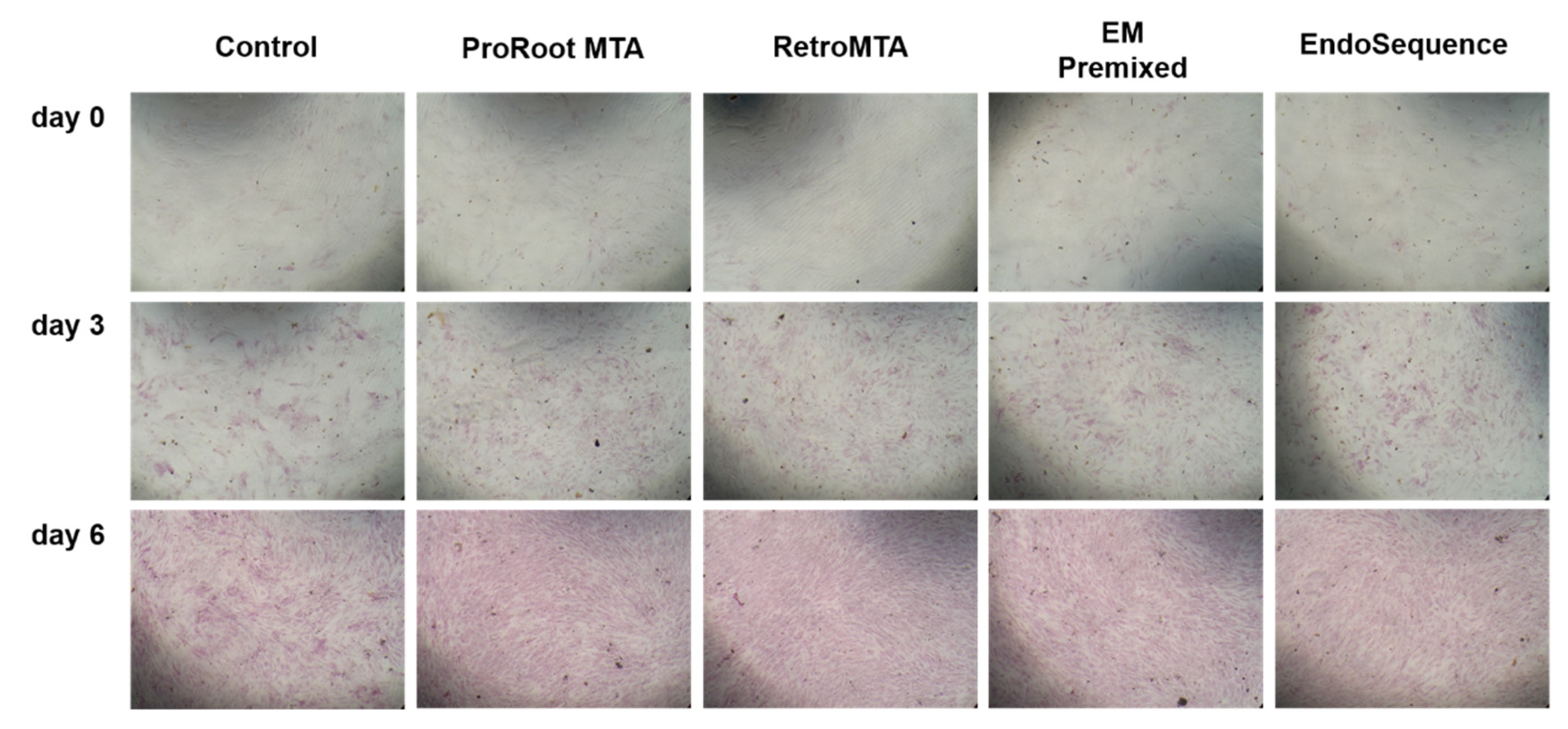 Materials 15 07595 g006 Materials 15 07595 g006