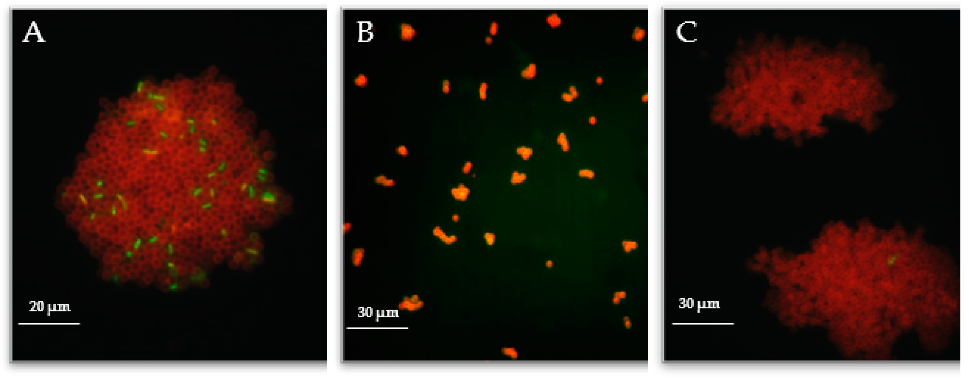 Materials 15 07640 g006