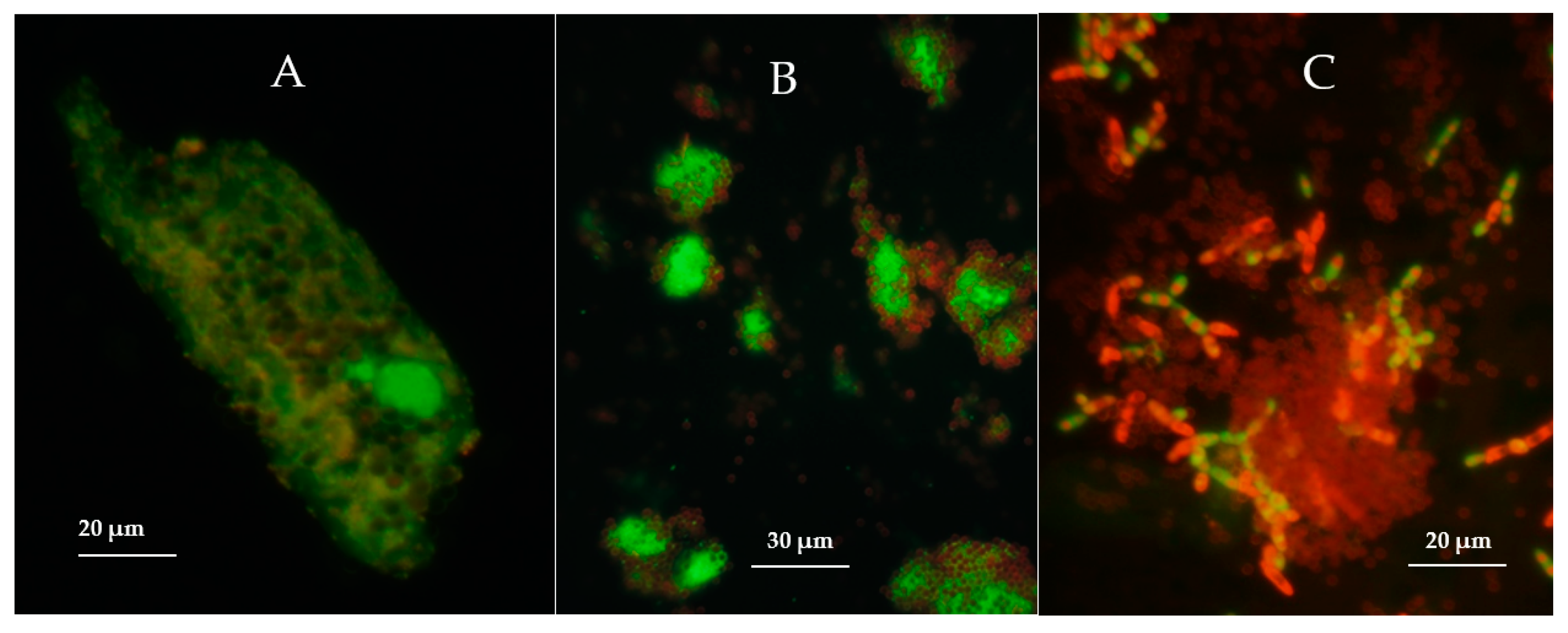 Materials 15 07640 g007