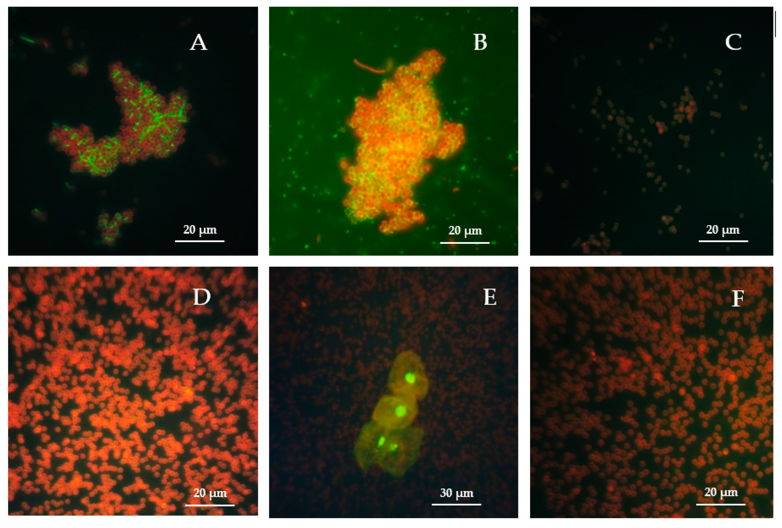 Materials 15 07640 g009