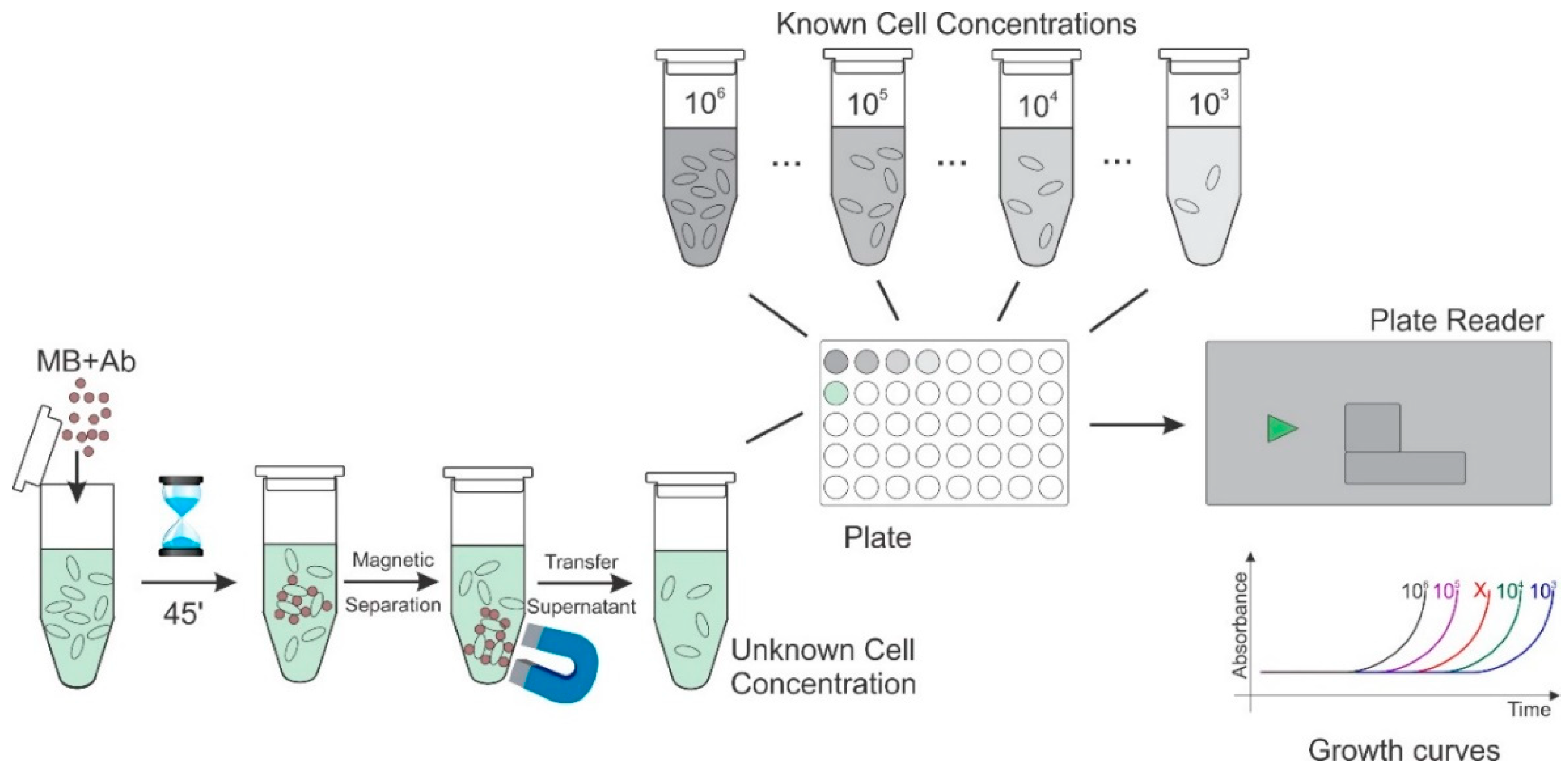 Materials 15 07640 sch001