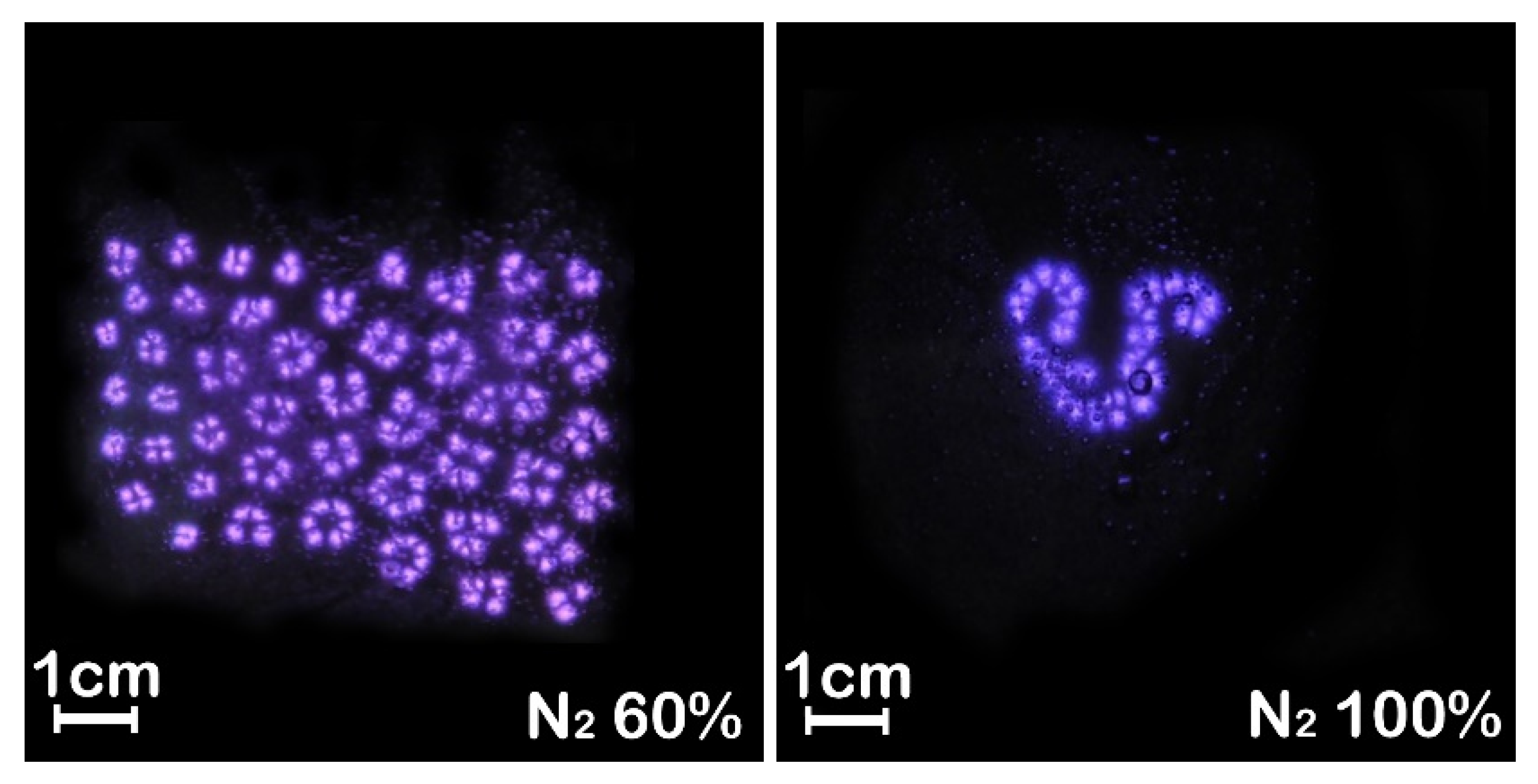 Materials 15 07647 g006 Materials 15 07647 g006